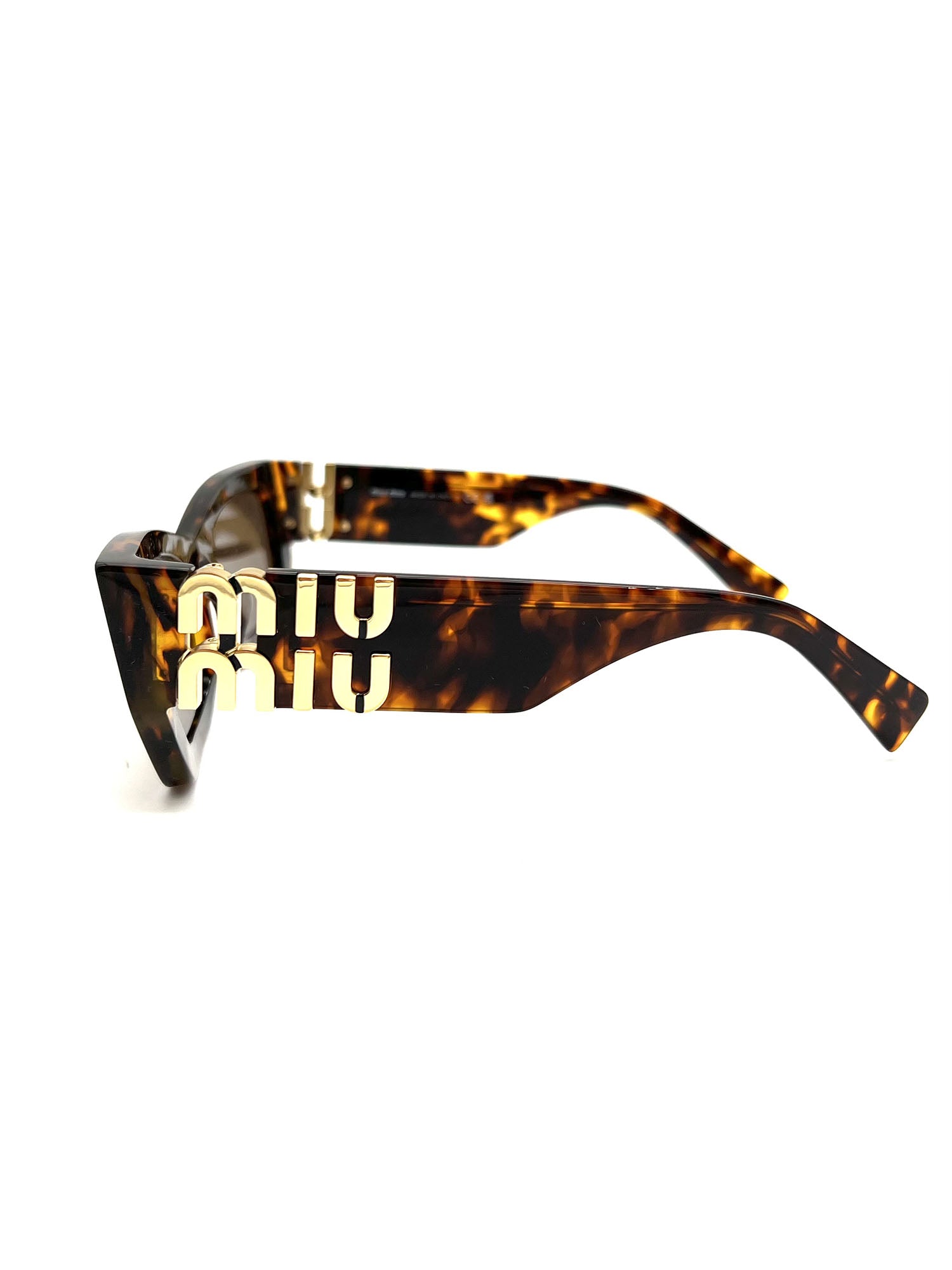 Brown Tortoiseshell Acetate Sunglasses