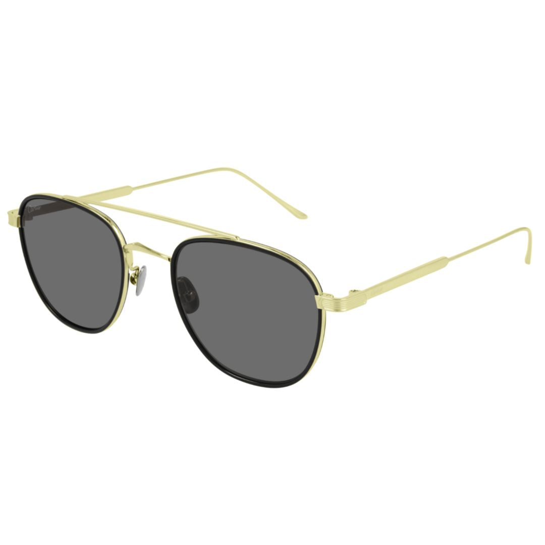 Ct0251s Thin Metallic Frame Sunglasses with Gold Finish