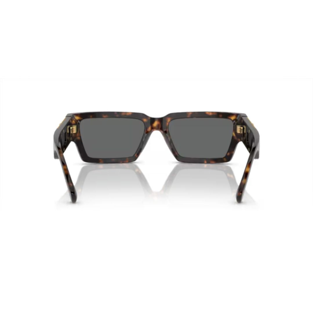 0ve4459 Tortoiseshell Acetate Sunglasses