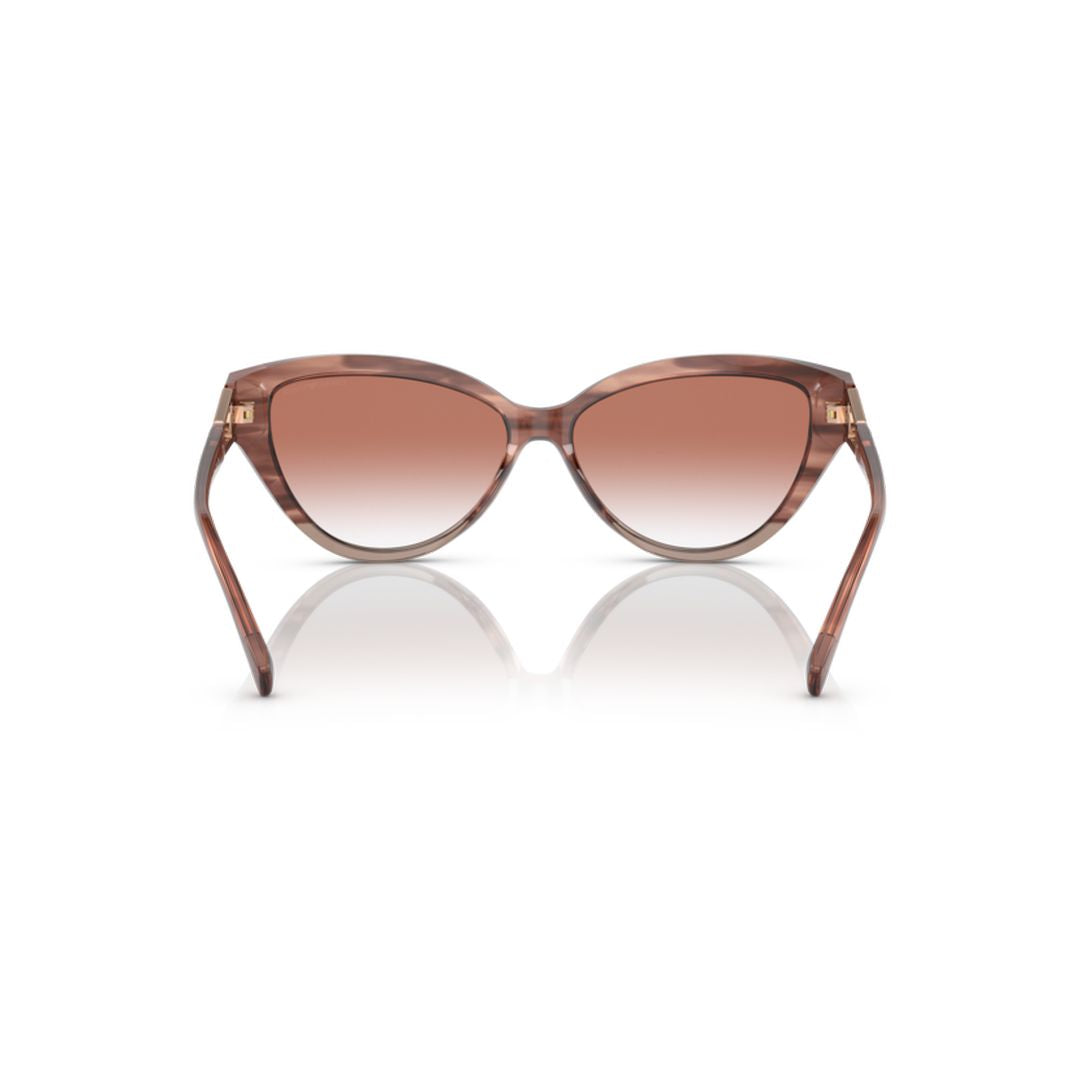 4192 Sole Cat-Eye Sunglasses with Translucent Brown Acetate