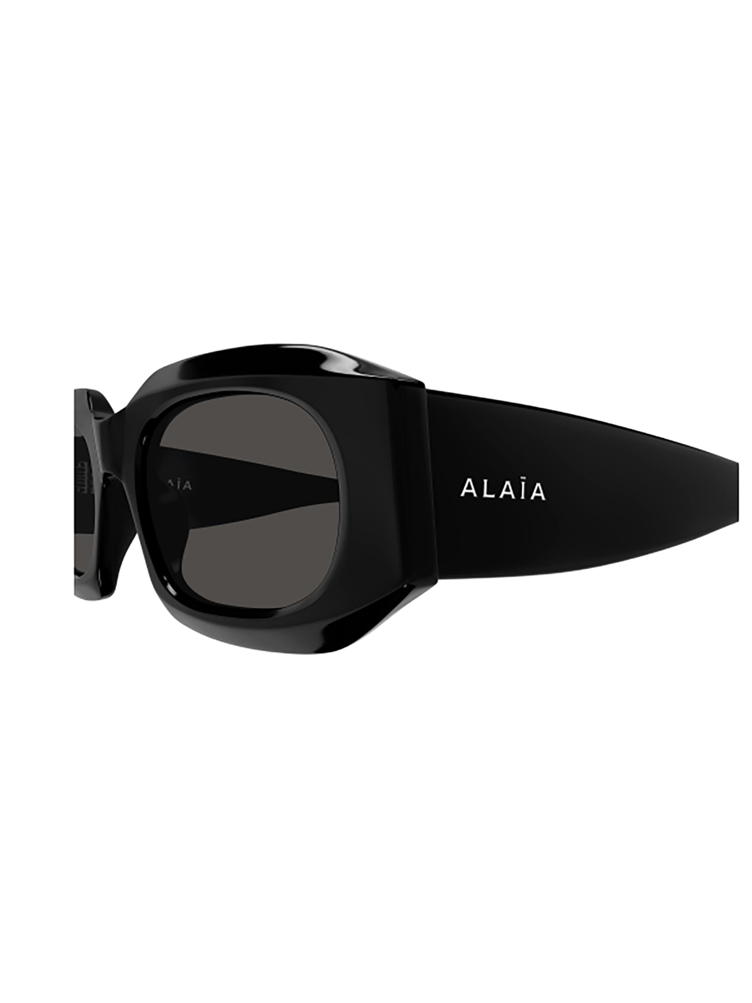 Rectangular Sunglasses with Glossy Black Frame