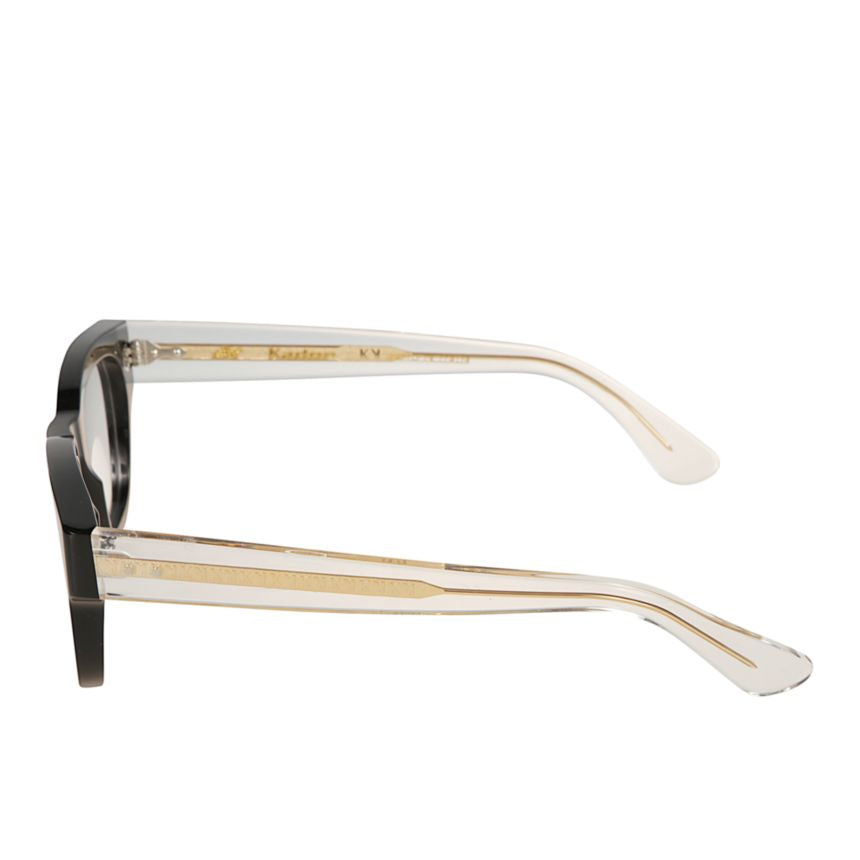 Timeless/N 1962 Bold Rectangular Frame Sunglasses with Translucent Temples