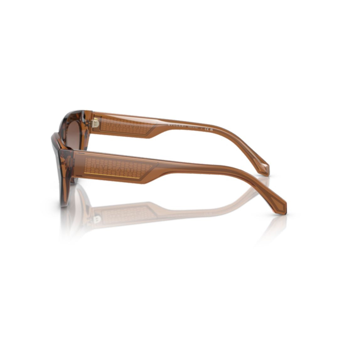8256 Sole Cat-Eye Tortoiseshell Sunglasses