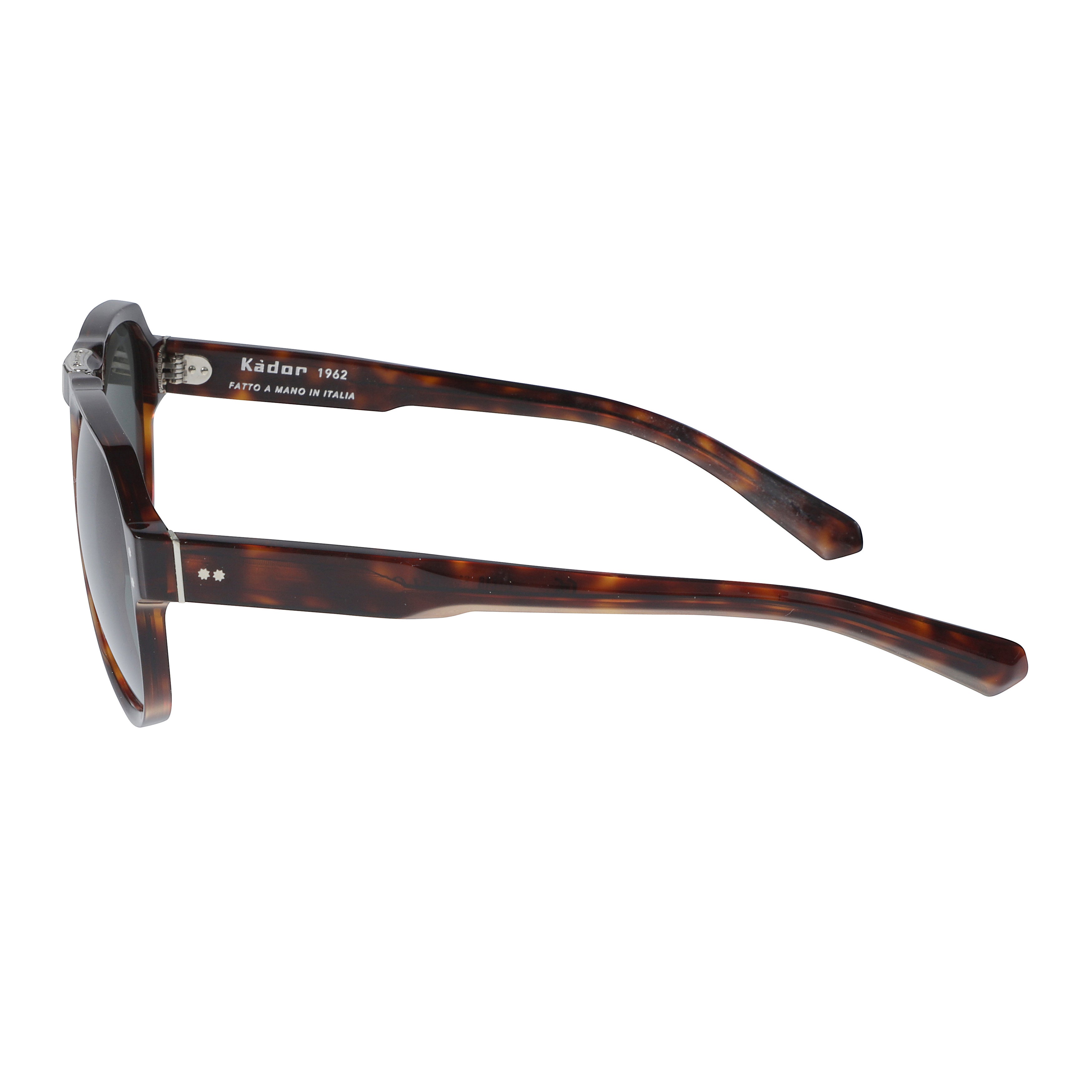 Pilot Flag/N Aviator-Inspired Tortiose Shell Sunglasses with Metallic Accents