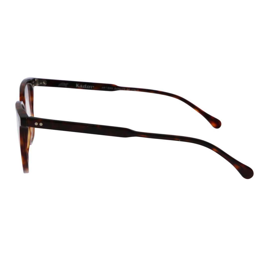 Lait Classic Tortoiseshell Frame Eyeglasses with Metallic Accents