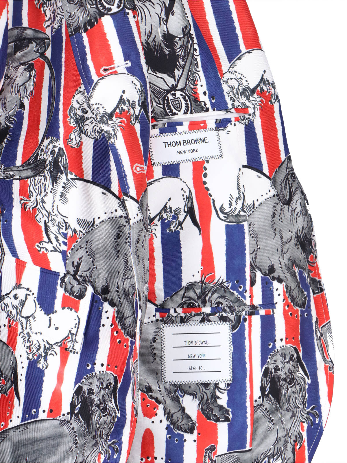 Multicolor Striped Dog Print Silk Blazer