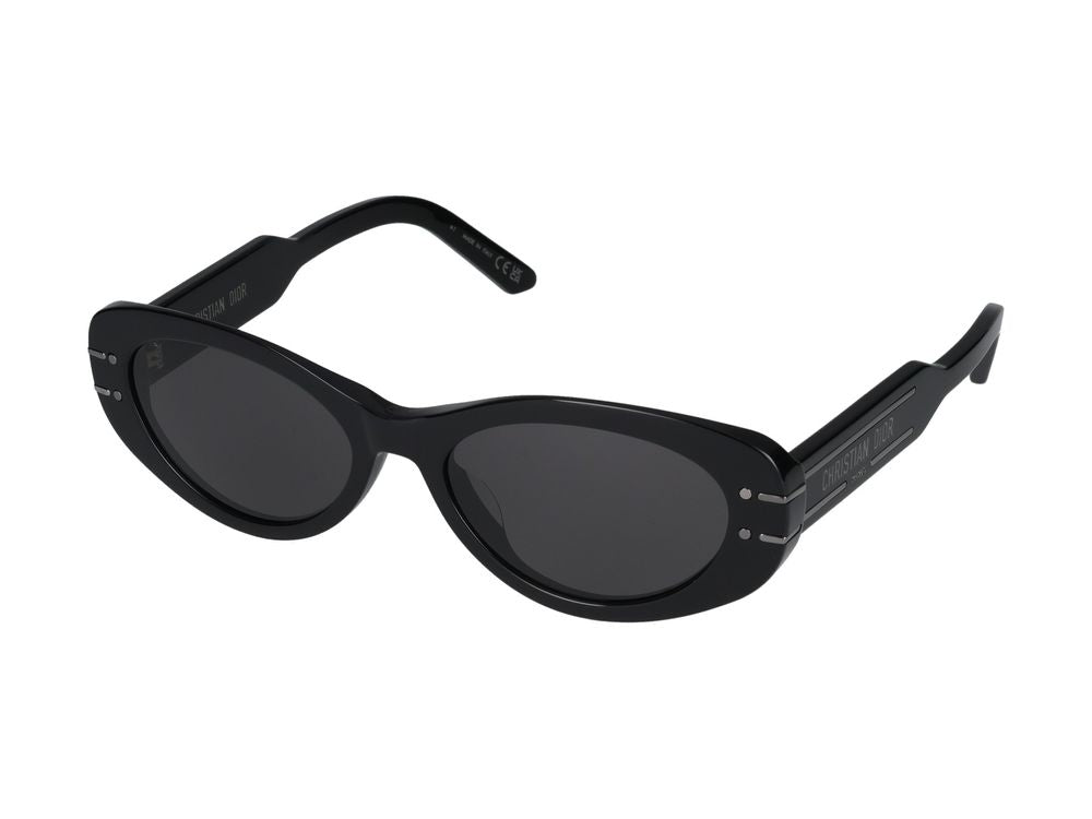 Sunglasses Diorsignature B8U 14A0 53/17/135