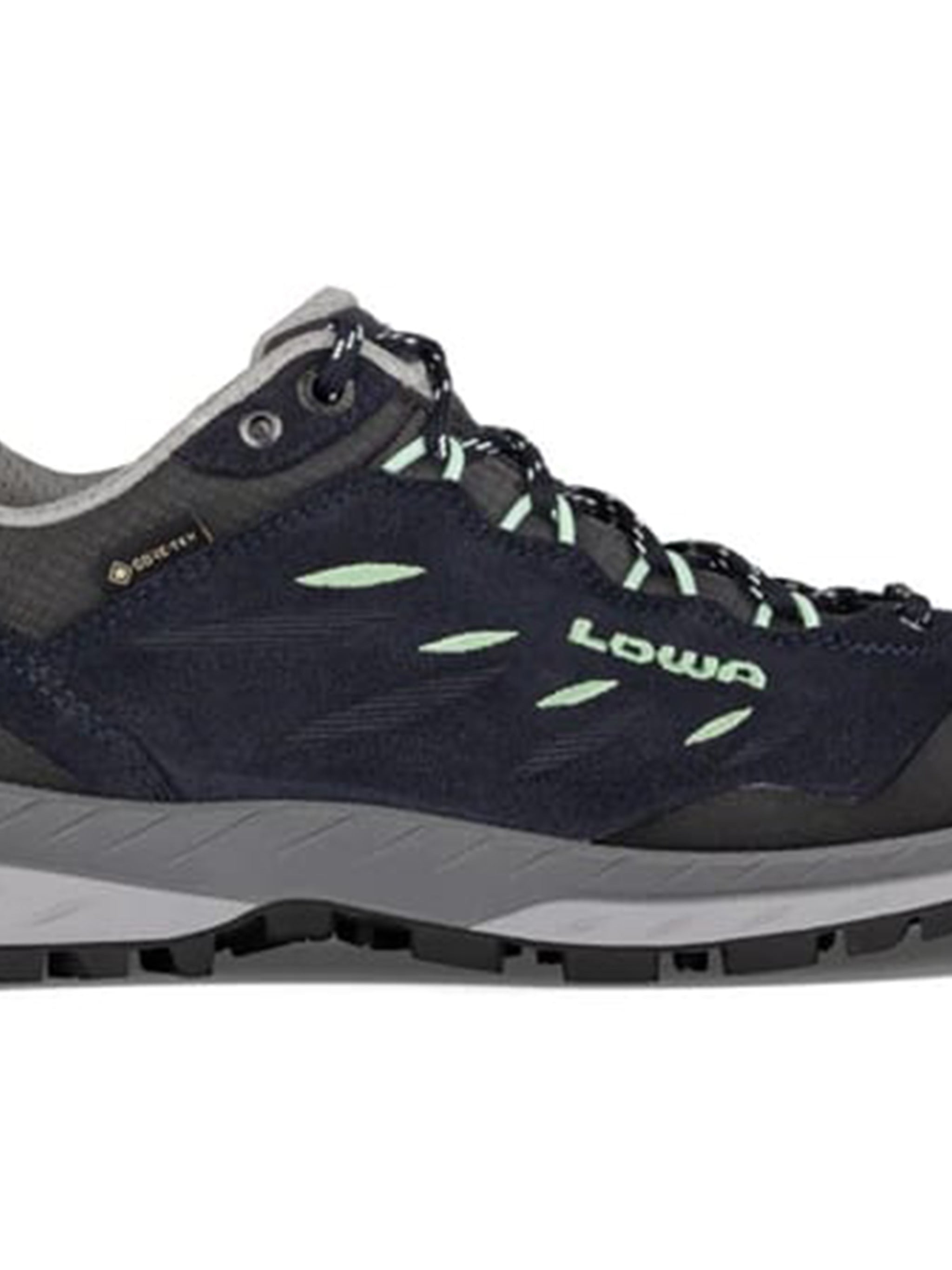 Blue Delago GTX Lo Ws Sneakers