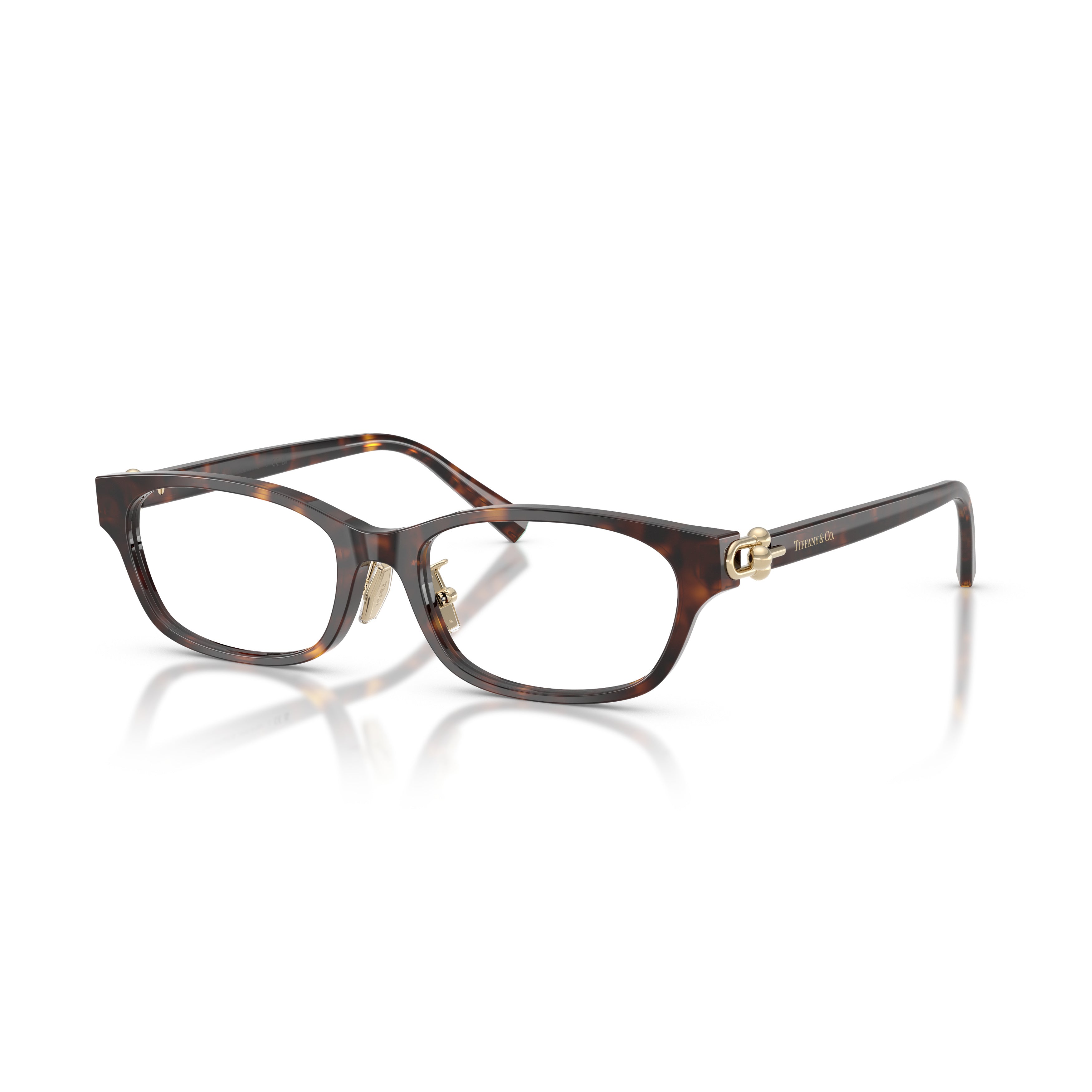 Black Acetate Rectangular Eyeglasses With Gold Accents