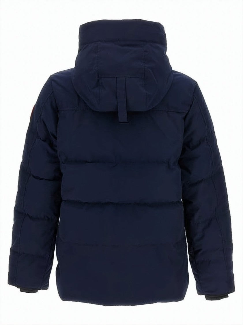 High Collar Padded Jacket with Concealed Zipper