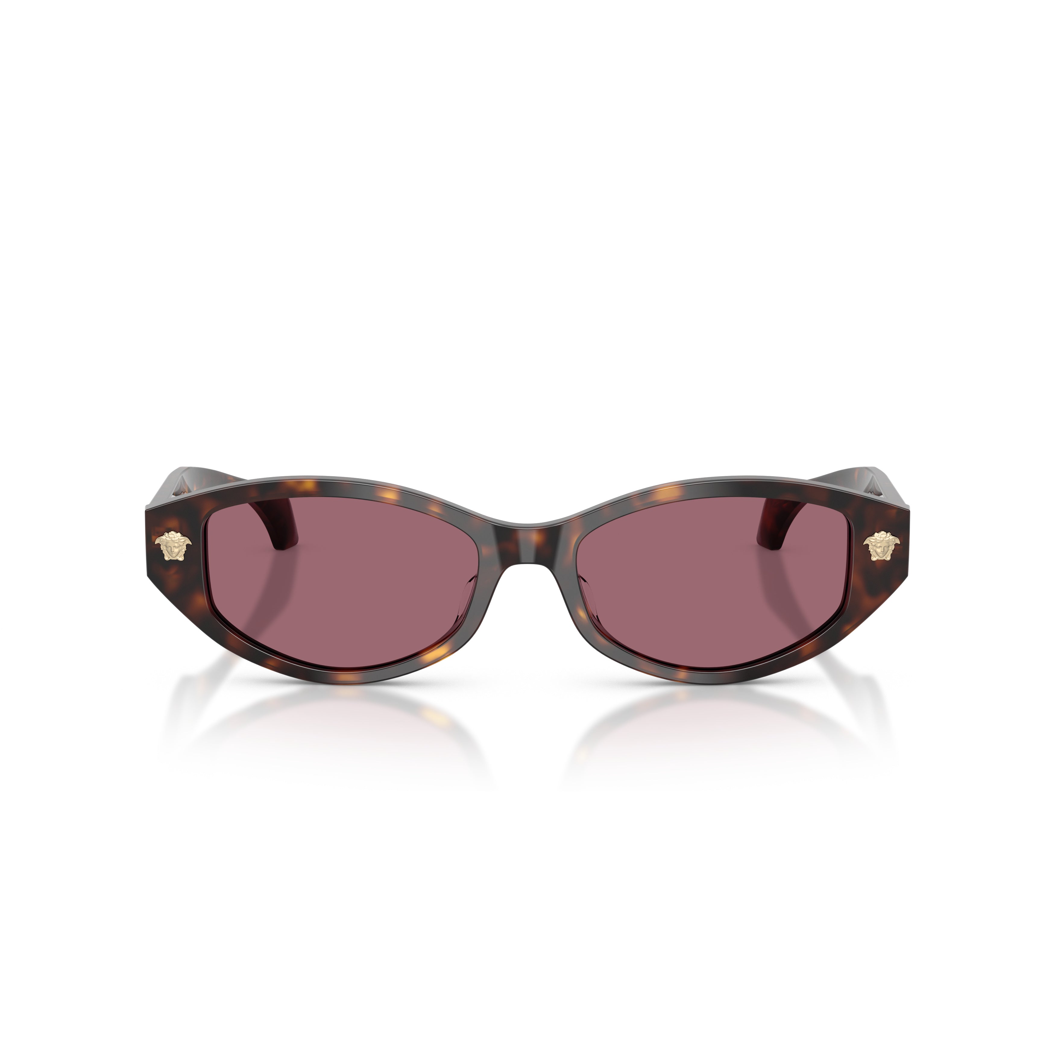0ve4512d Tortoiseshell Acetate Oval Sunglasses