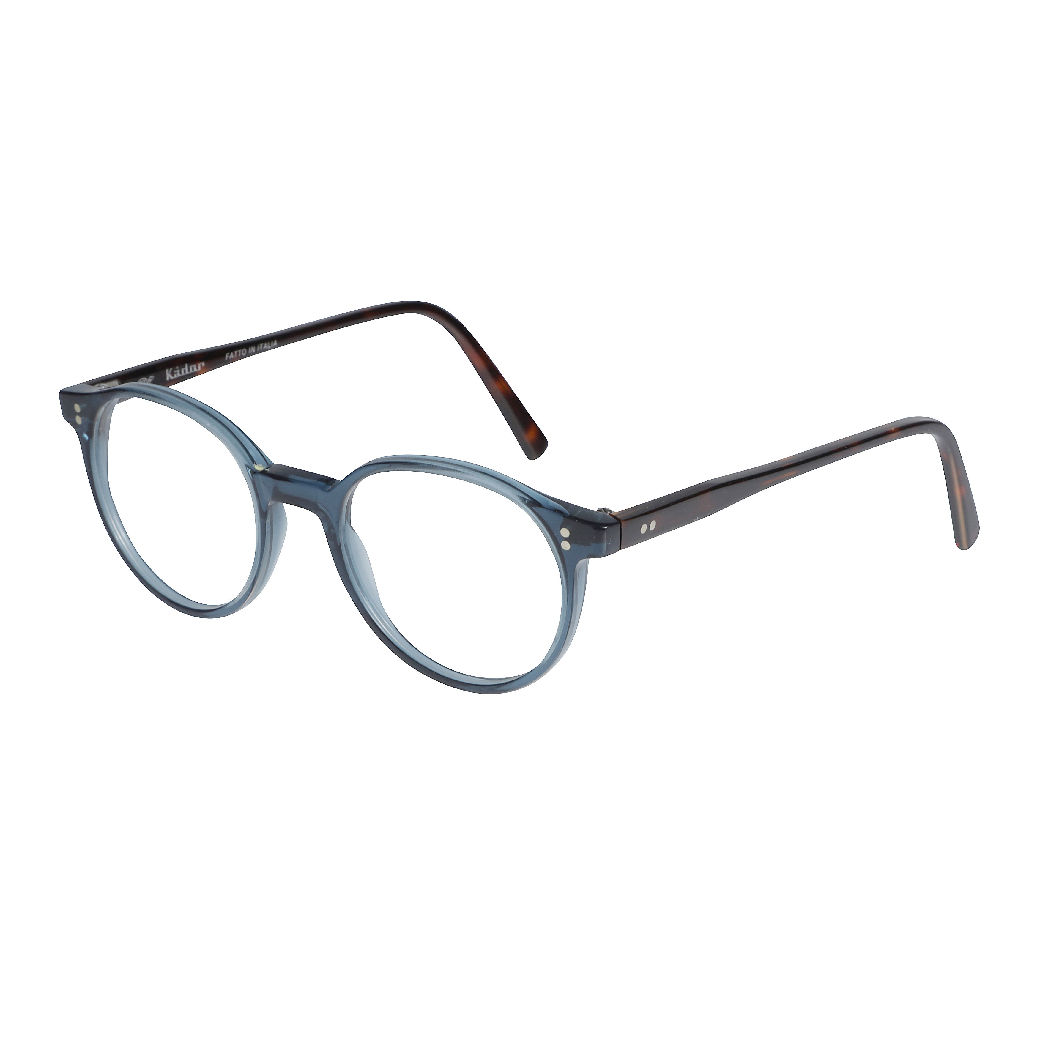 Panto/N Translucent Blue Round Frame Eyeglasses with Tortoiseshell Temples