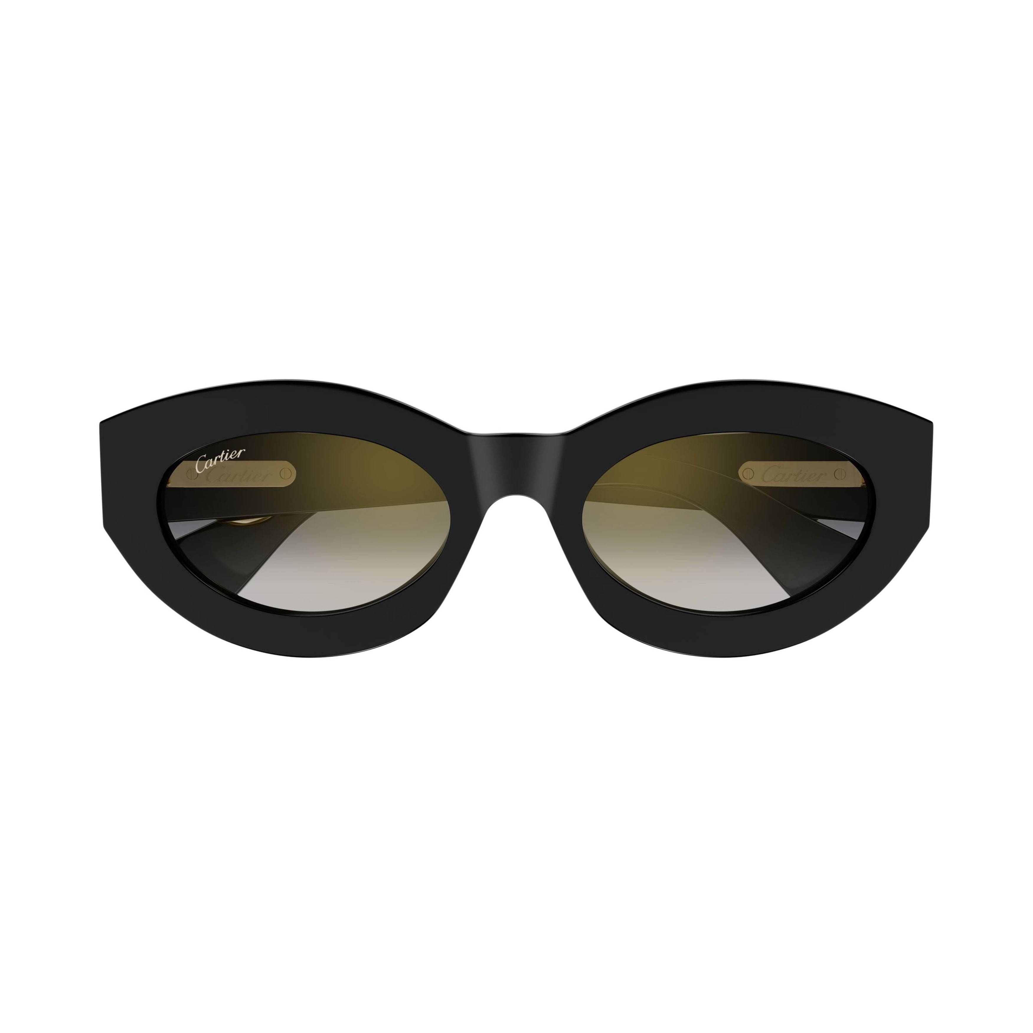 Ct0638s Cat-Eye Sunglasses with Gold-tone Embellishments