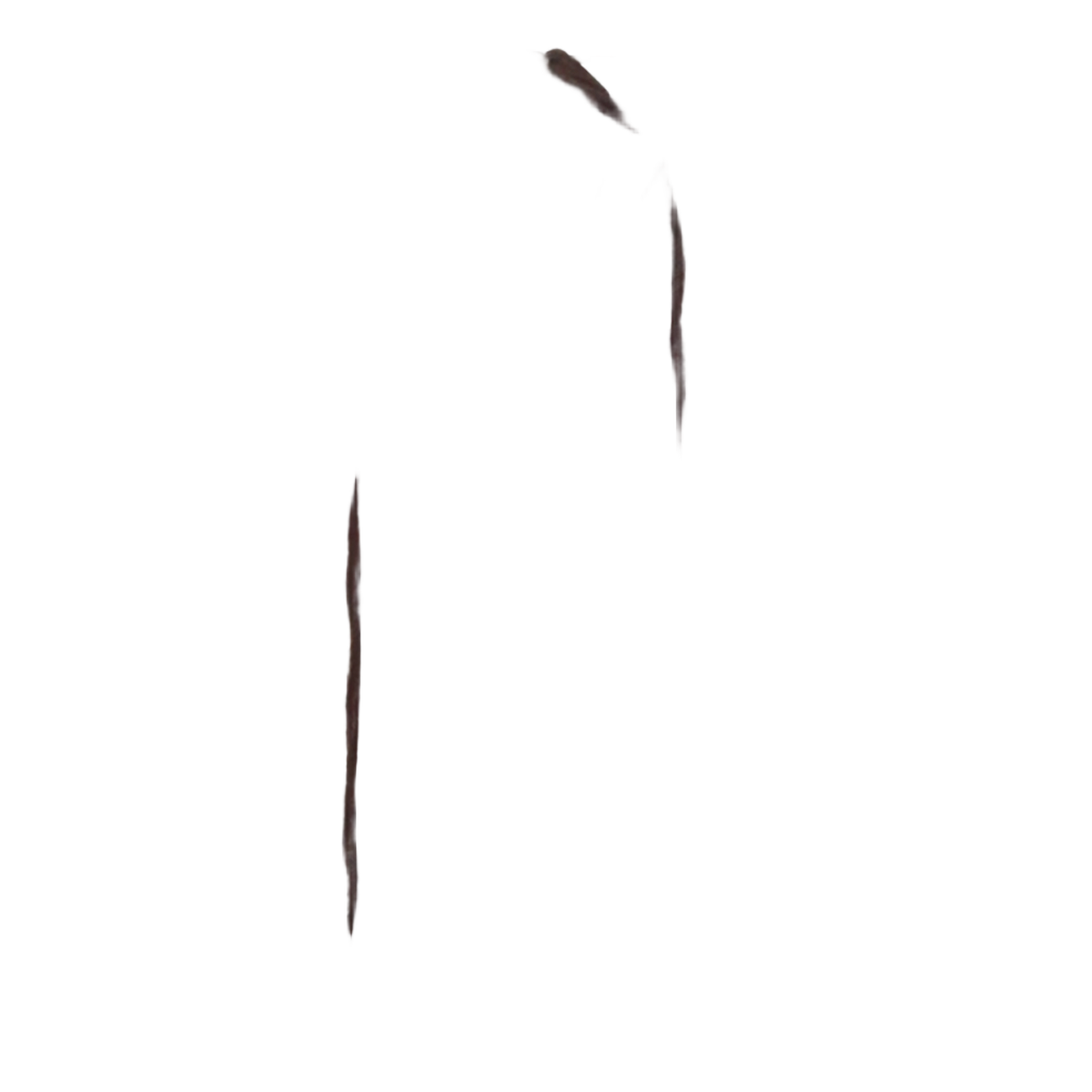 Sheer Brown Trousers with Feather Trim