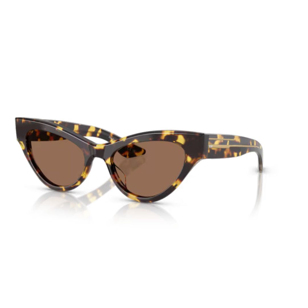 0ov5573su Cat-Eye Sunglasses in Glossy Tortoiseshell Acetate