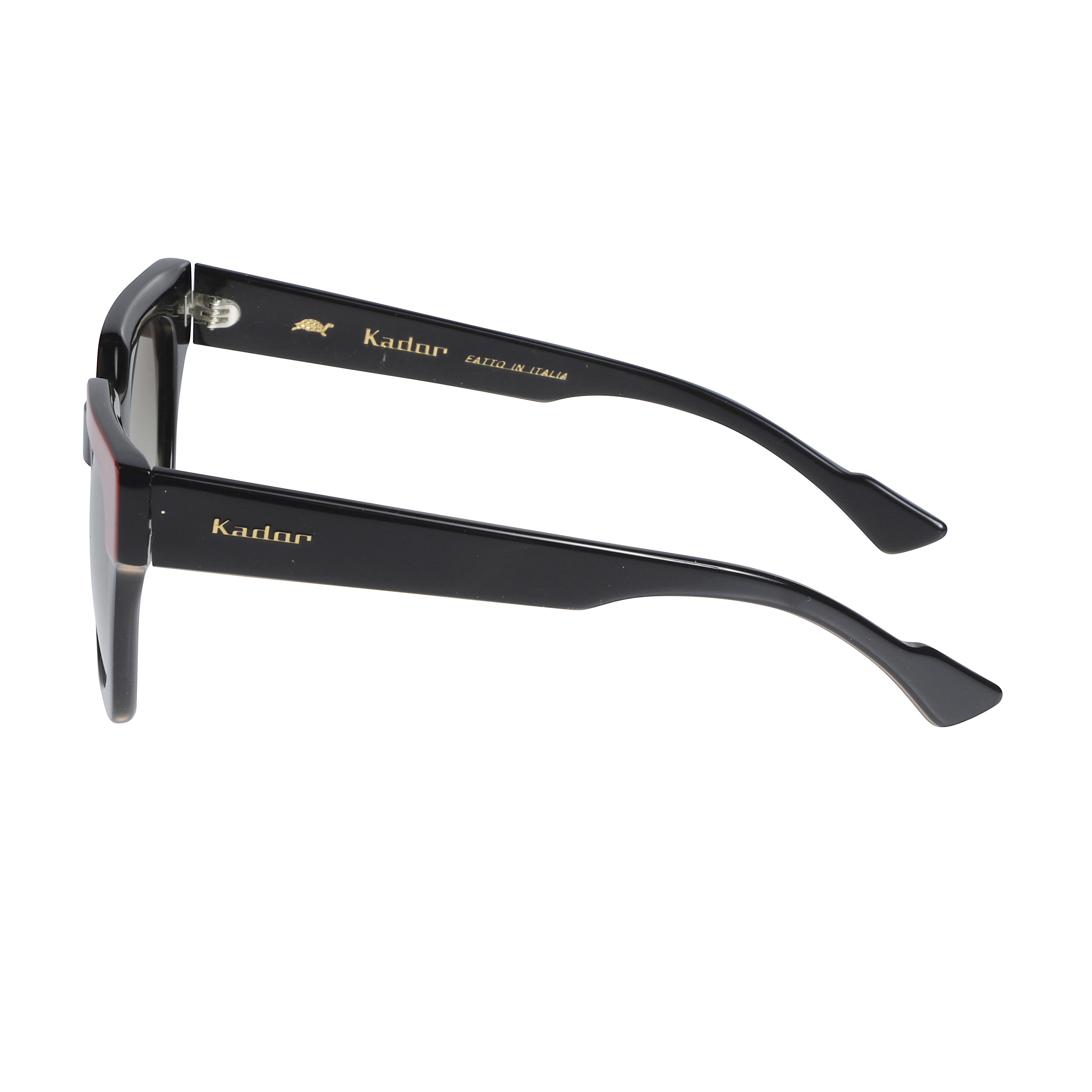 Portofino/N Square Frame Sunglasses with Gradient Lenses