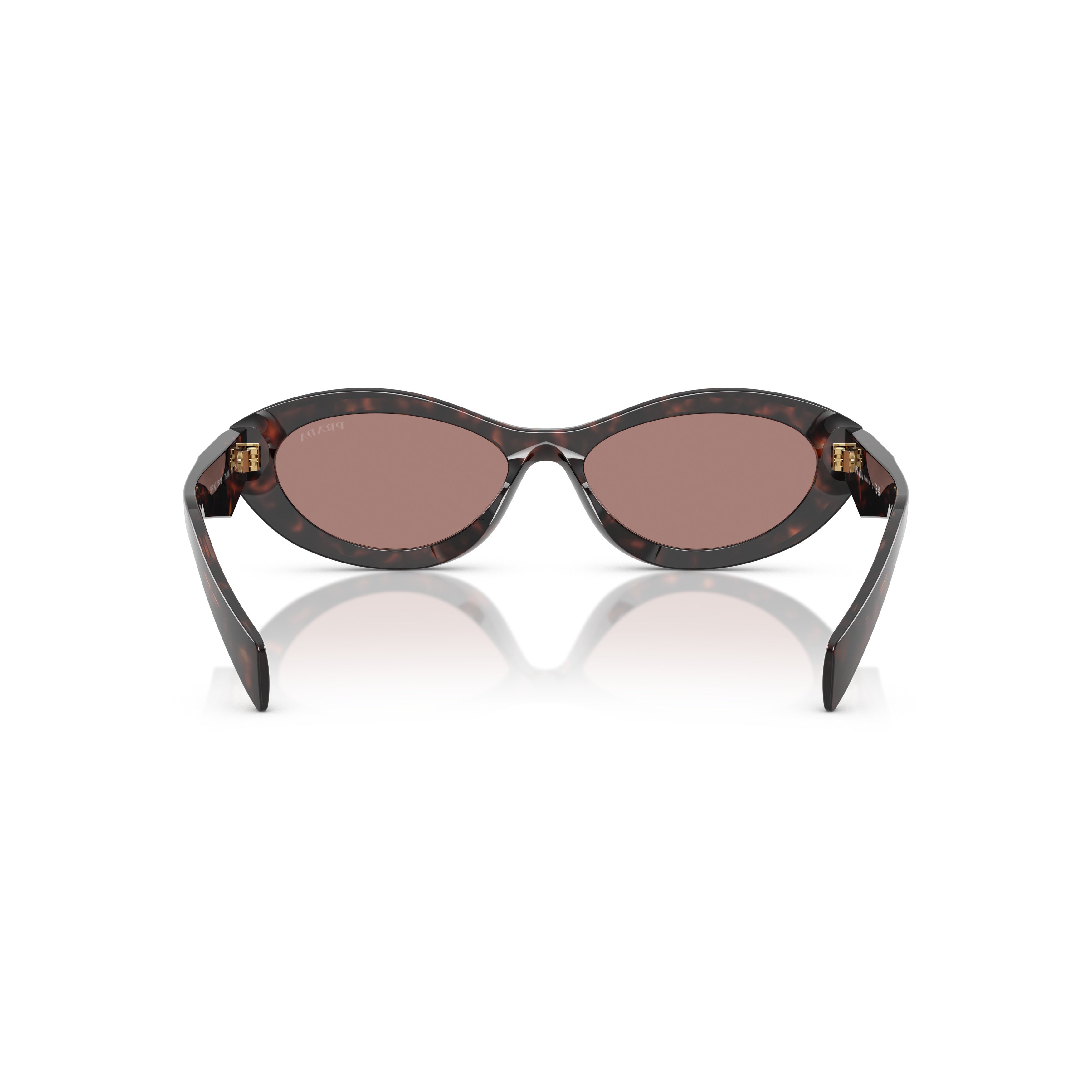 0pr 26zs Elongated Oval Tortoiseshell Acetate Sunglasses