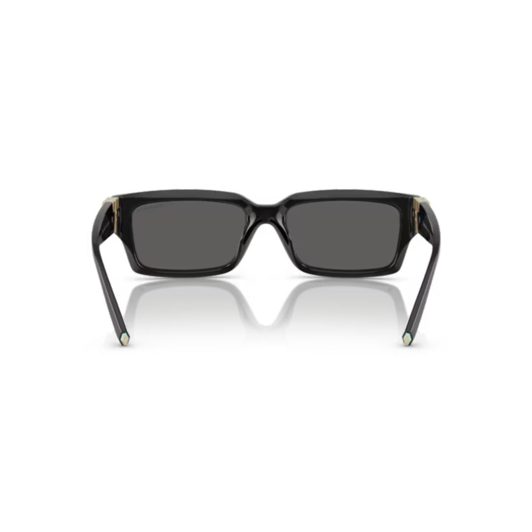 0tf4226u Rectangular Sunglasses