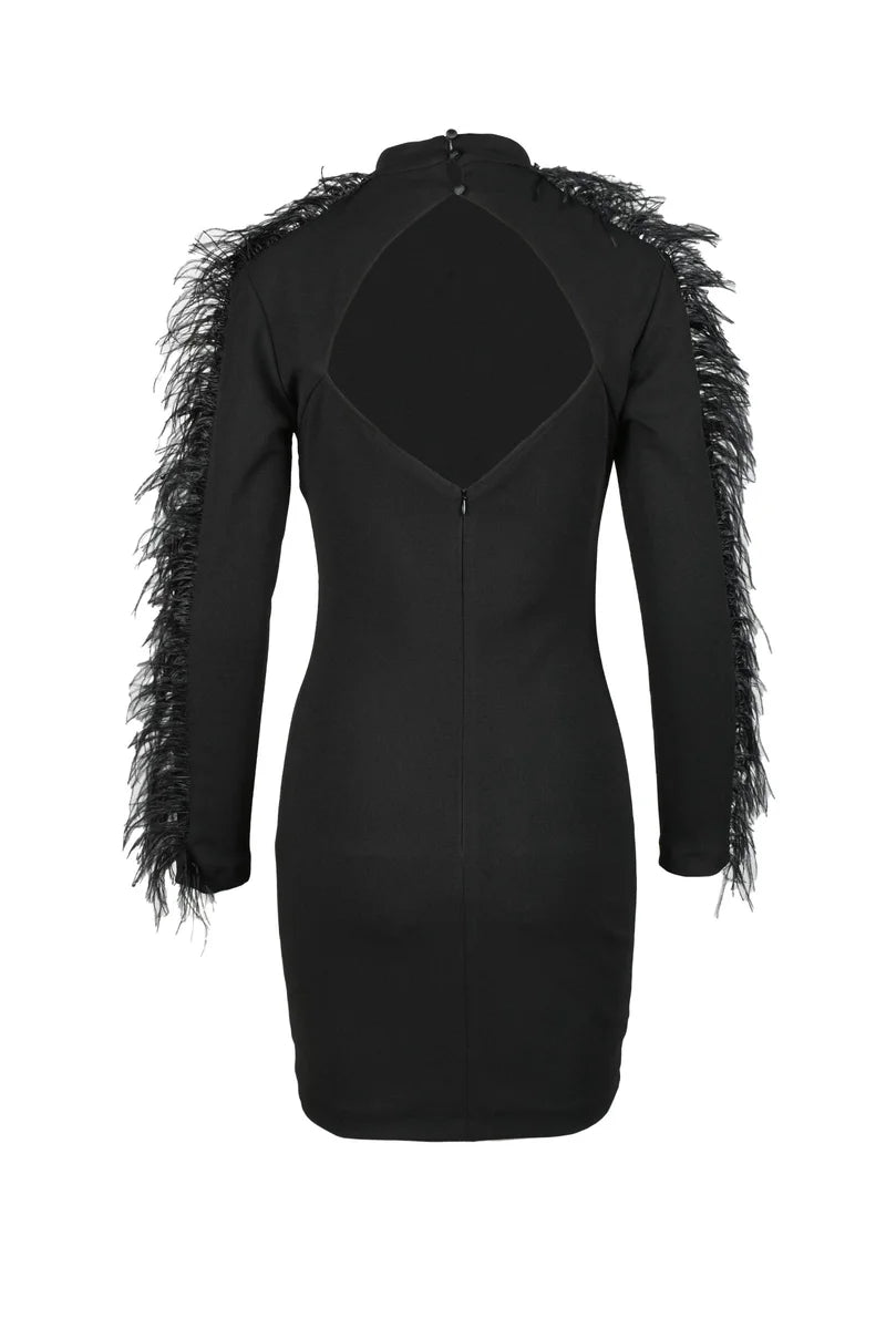 Fitted Mini Dress with Feathered Fringes