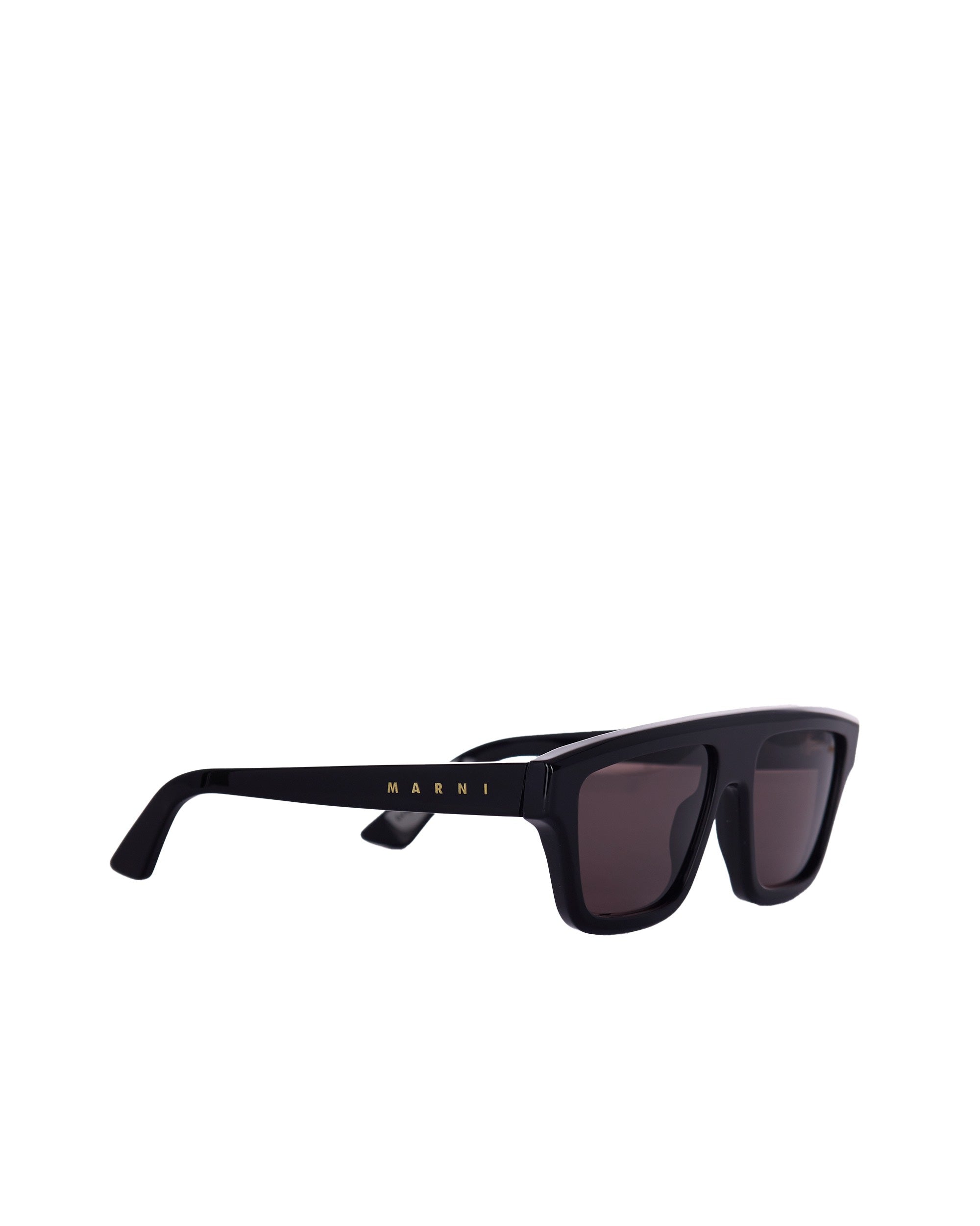 Glossy Black Acetate Sunglasses with ZEISS Lenses