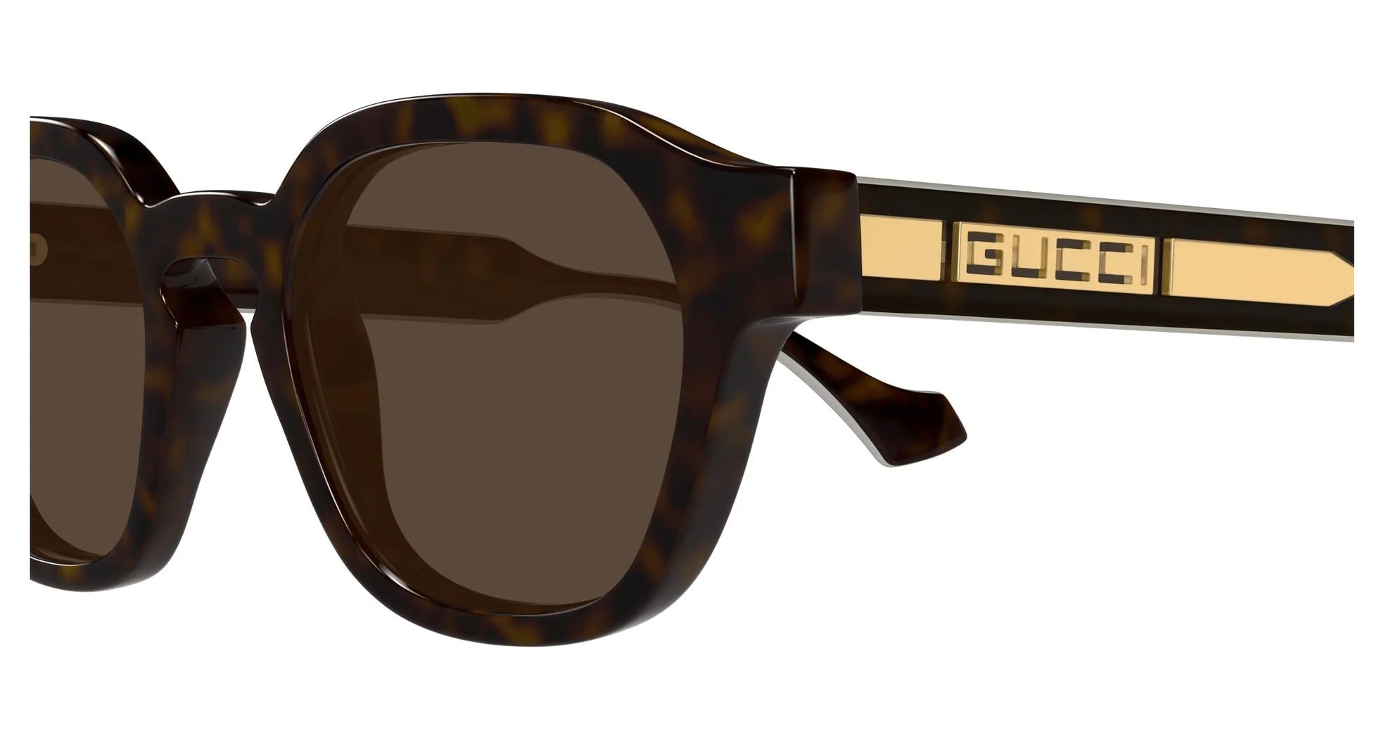 Sunglasses GG1730S 002 Havana Yellow Brown 50/21/145