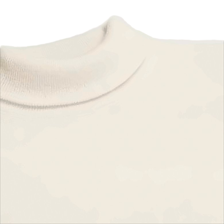 Minimalist Sleeveless Wool Blend Turtleneck Top