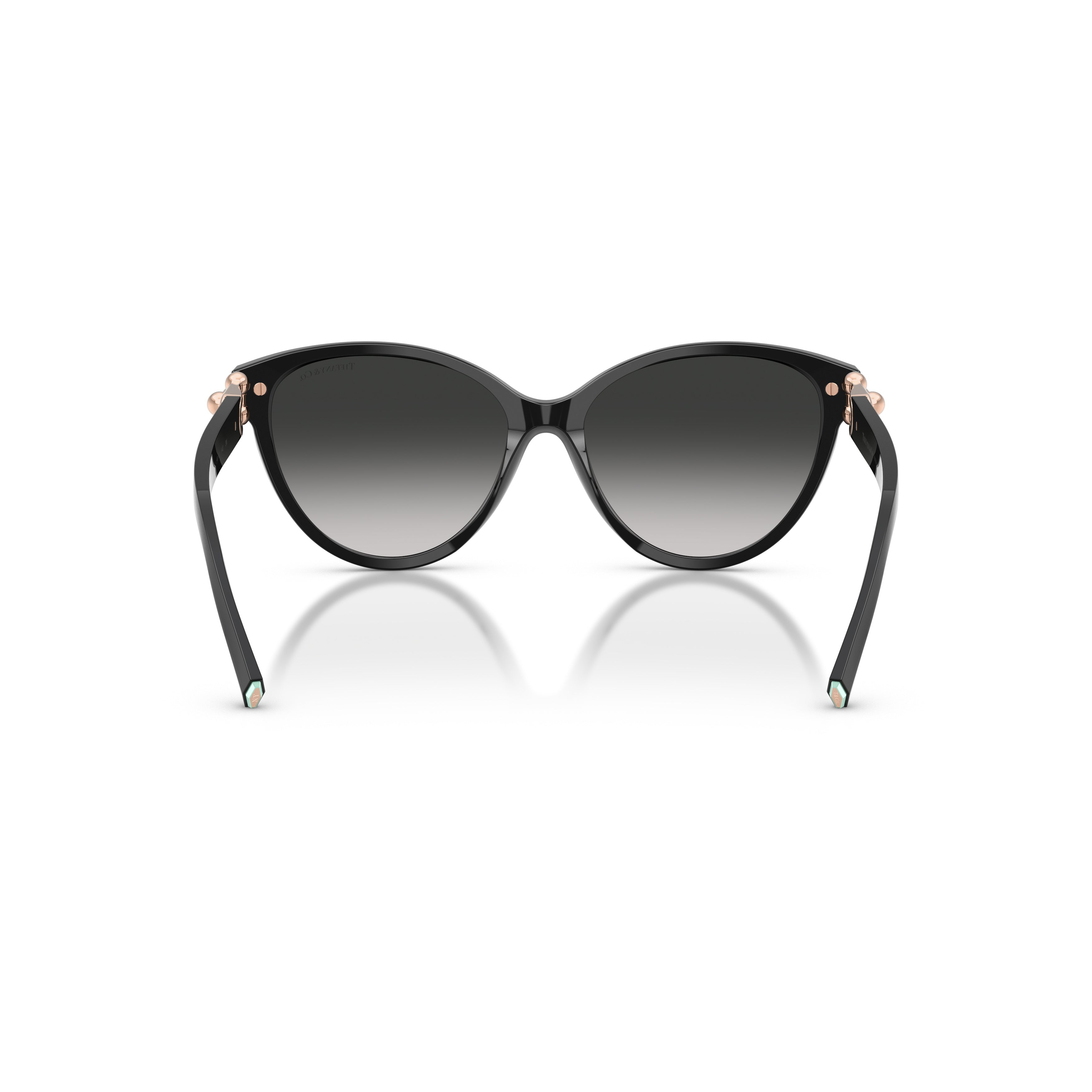 0tf4261 Cat-Eye Sunglasses