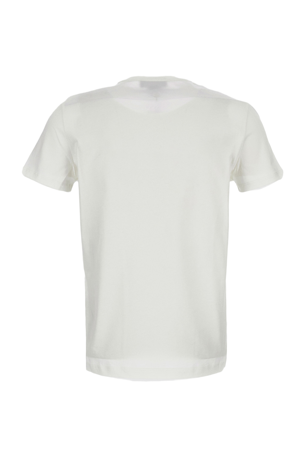 Regular Fit Cotton T-Shirt