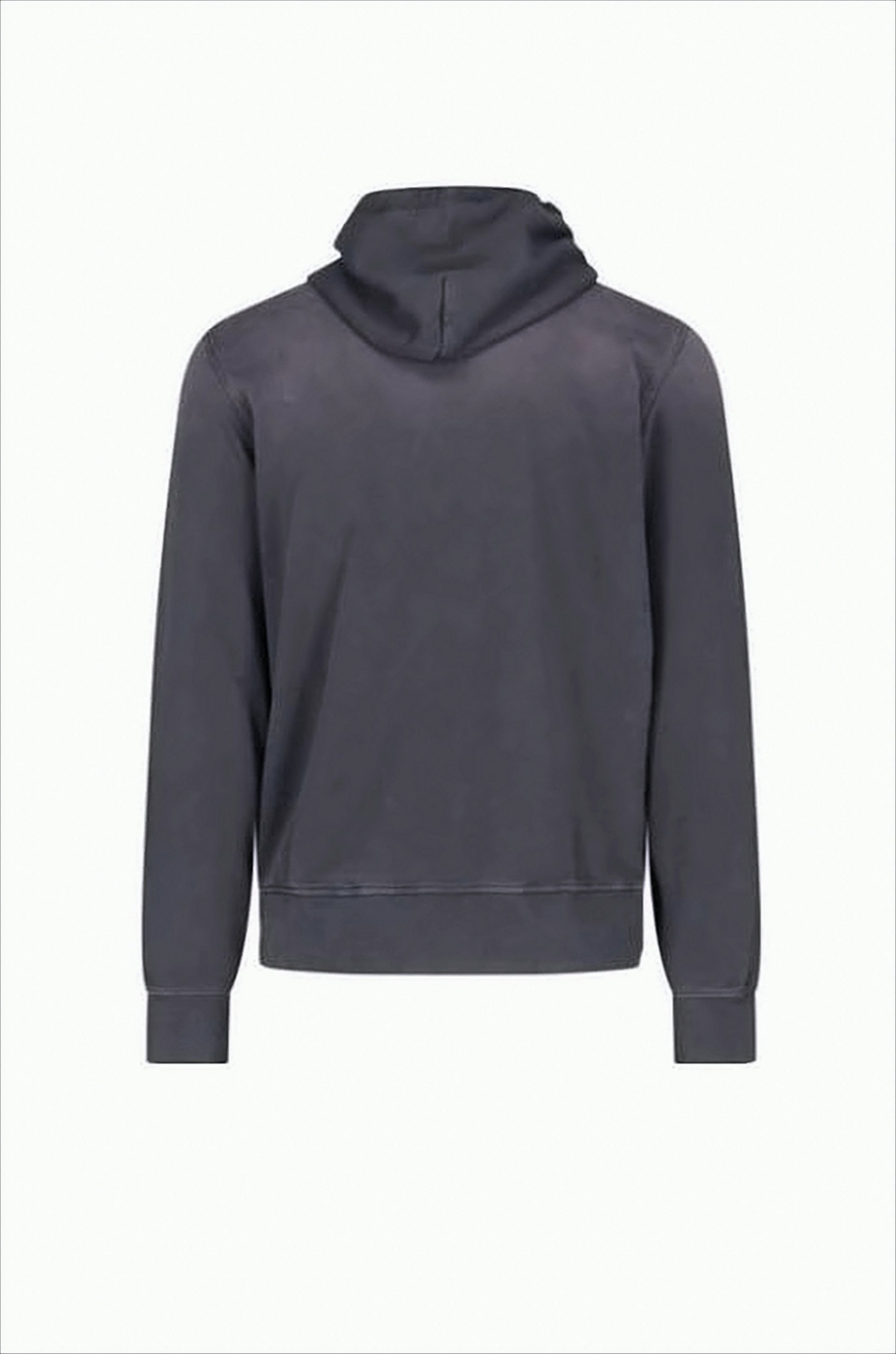 Hooded Sweatshirt With Brushed Texture And Bold Logo