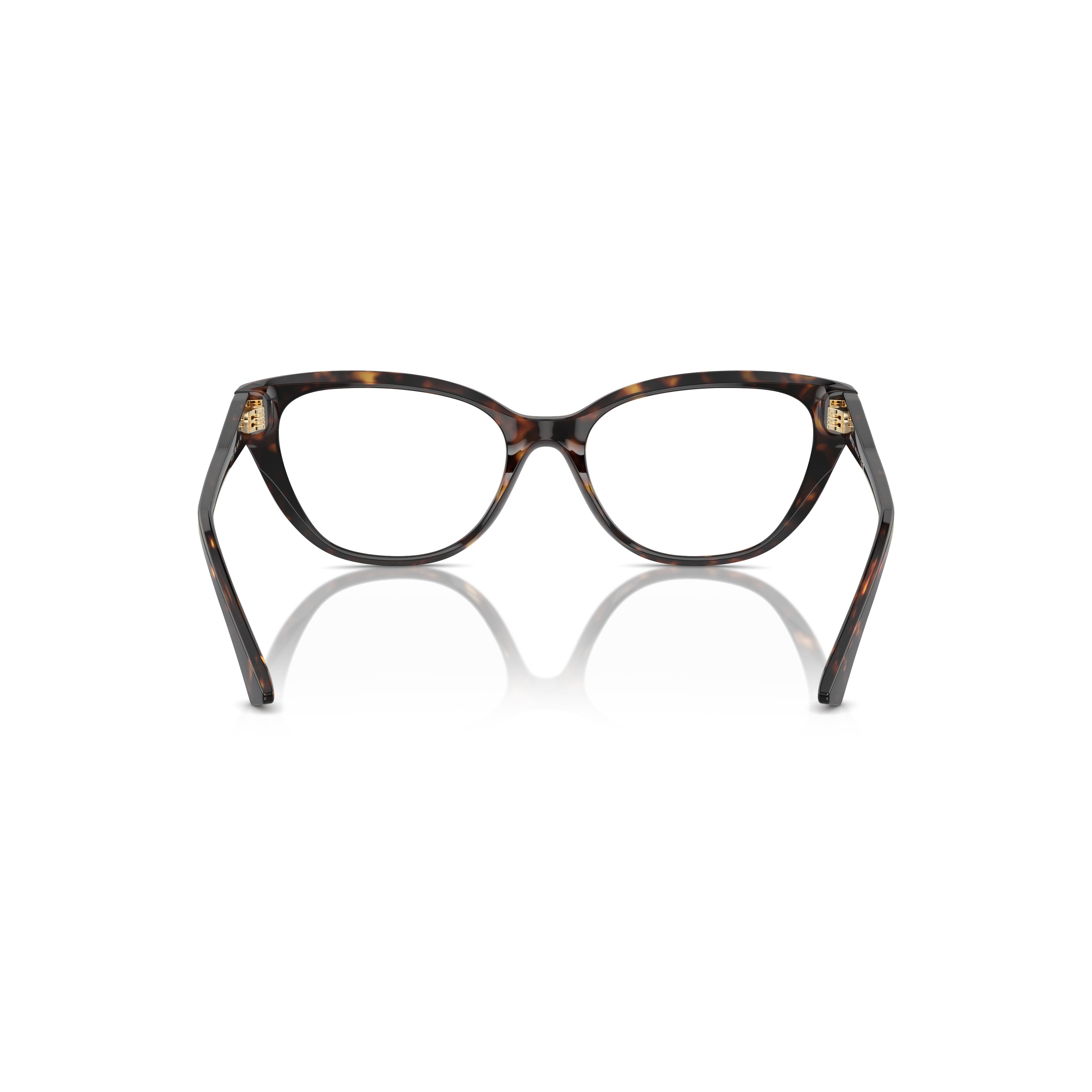 0jc3011 Cat-Eye Tortoiseshell Acetate Sunglasses