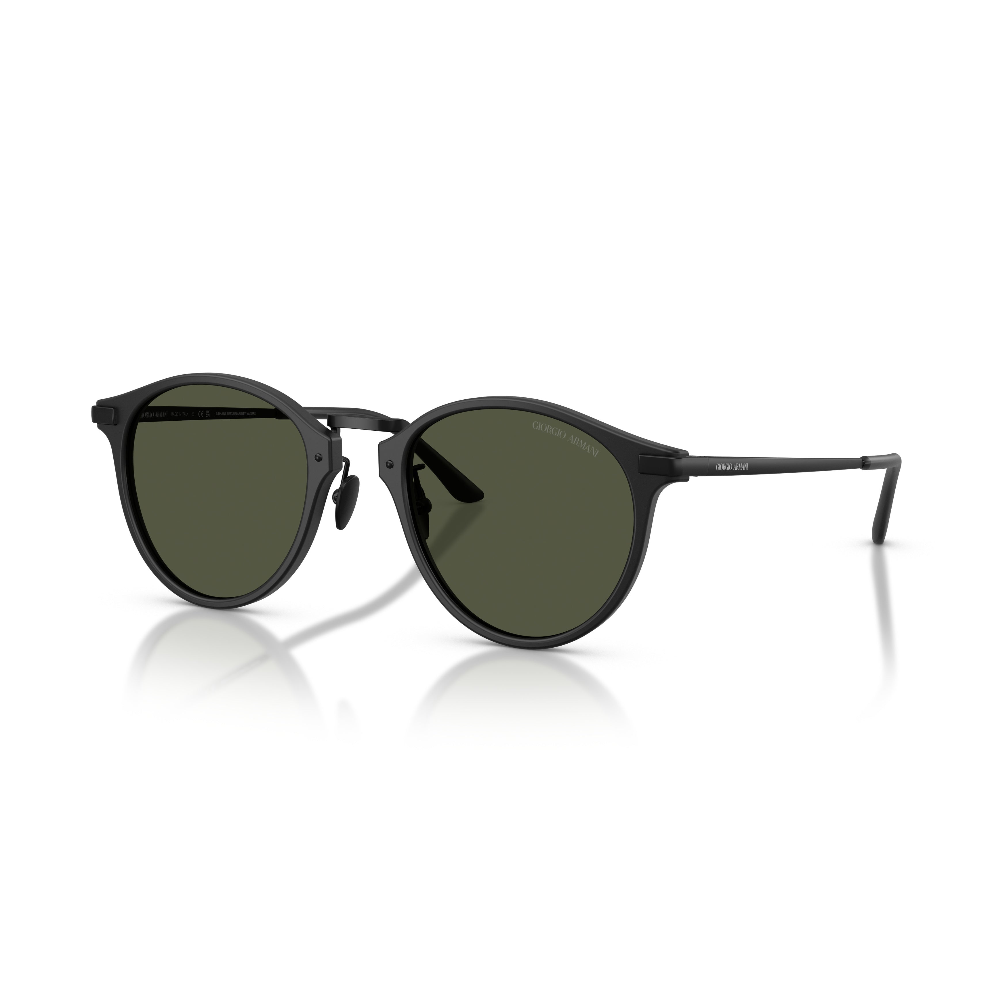 0ar8250 Round Frame Acetate Sunglasses with Thin Bridge