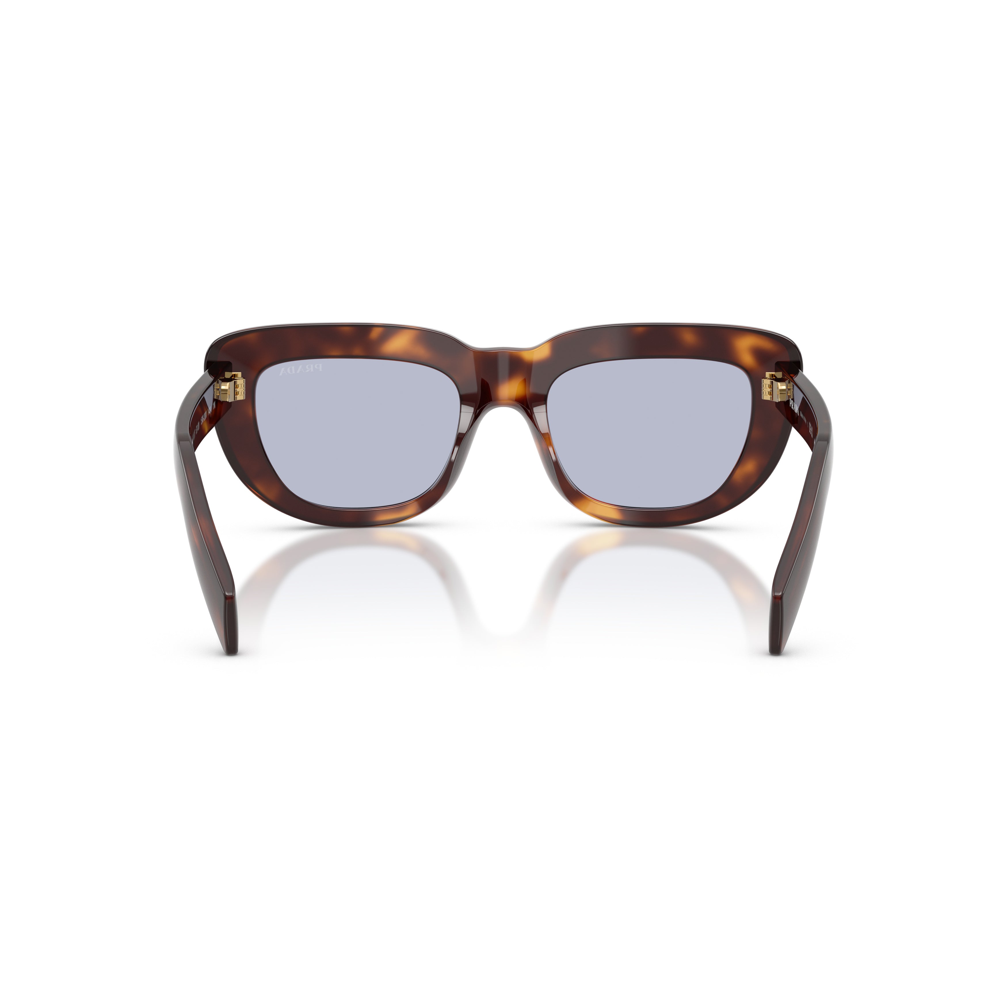 0pr D07s Oversized Cat-Eye Sunglasses