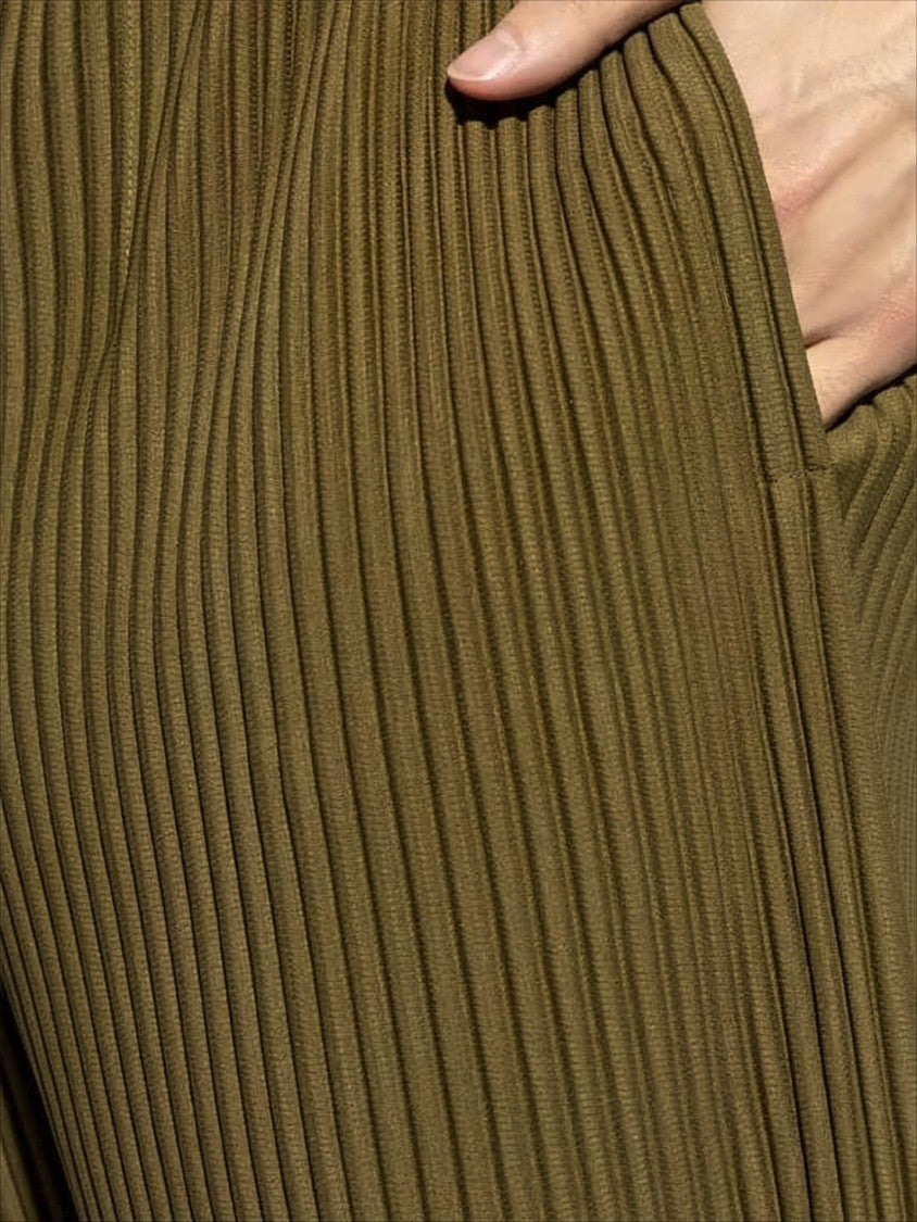 Pleated Brown Shorts with Silhouette