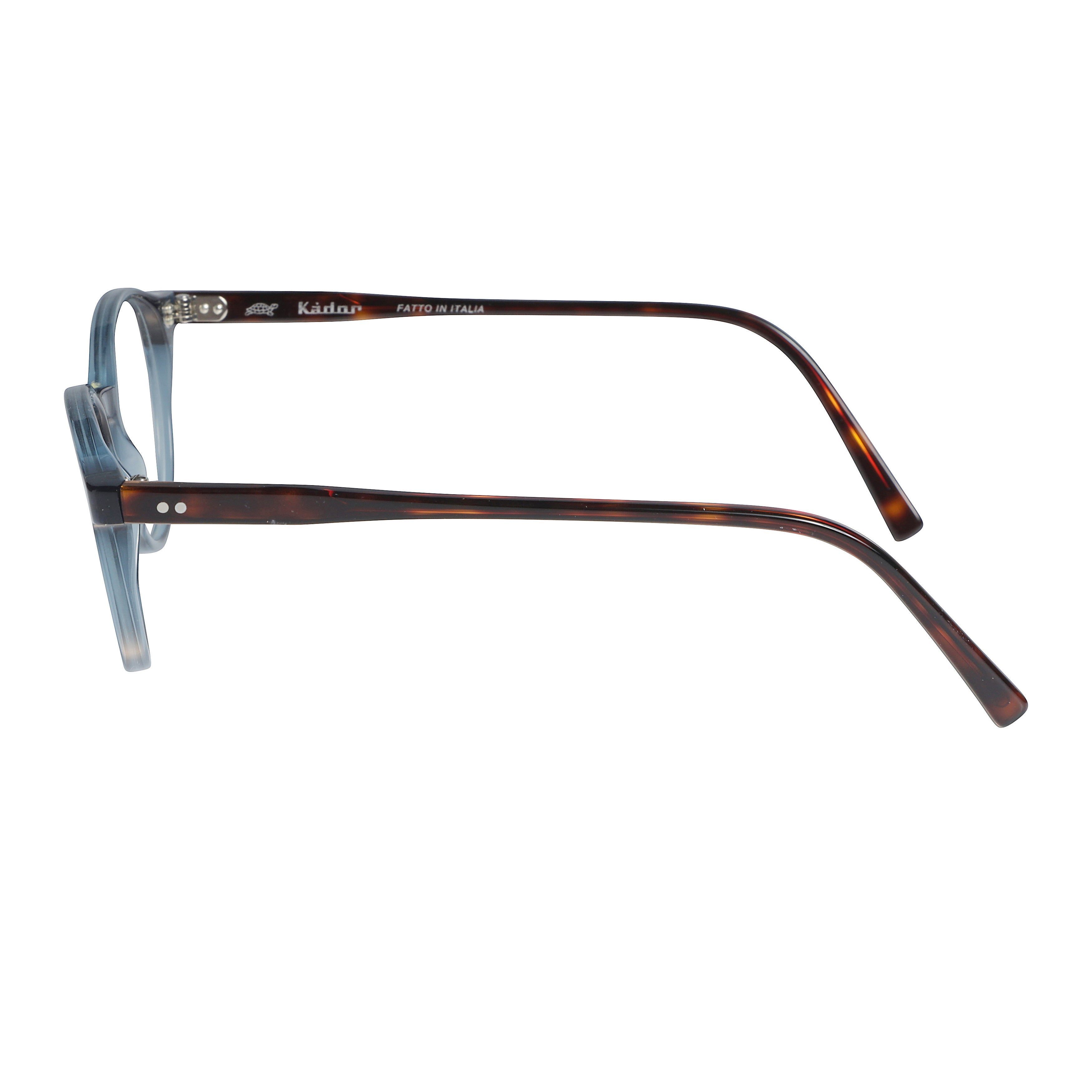 Panto/N Translucent Blue Round Frame Eyeglasses with Tortoiseshell Temples