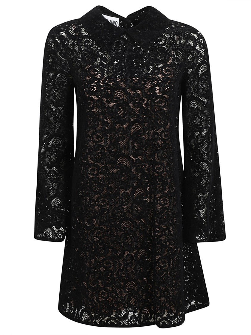 Lace Overlay Dress With Classic Collar