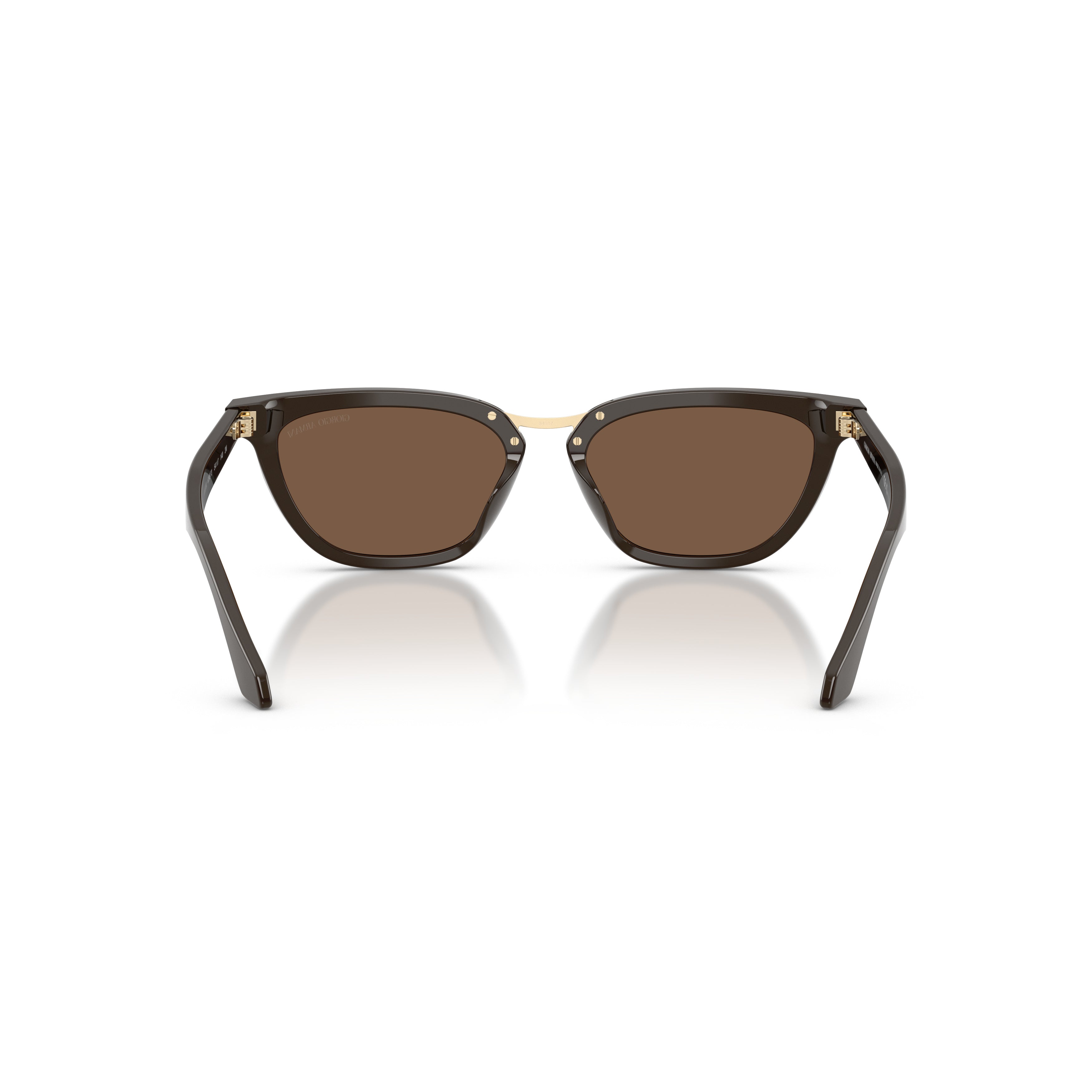 0ar8253u Angular Acetate Sunglasses with Gold Metal Bridge