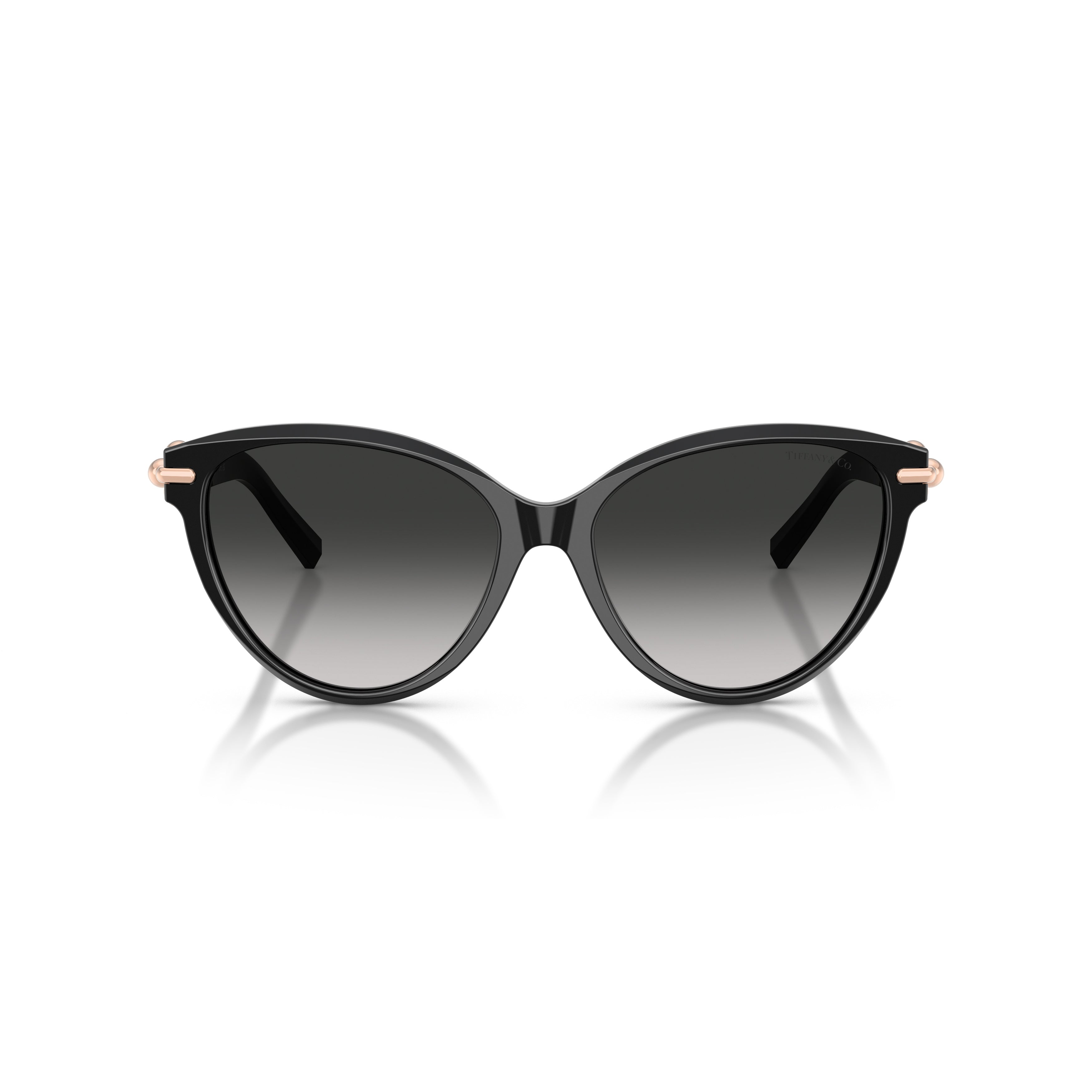 0tf4261 Cat-Eye Sunglasses