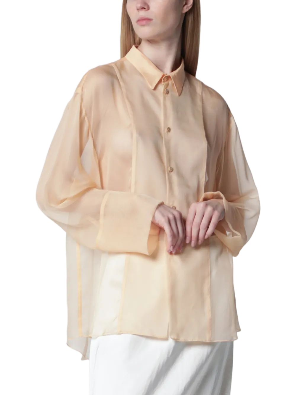Sheer Long-Sleeved Blouse with Classic Collar and Relaxed Silhouette