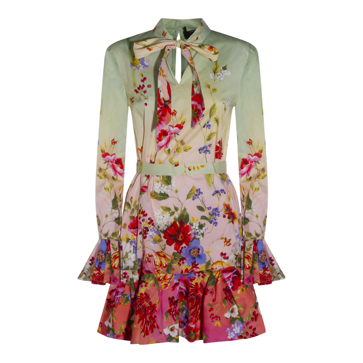 Flowing Silhouette Dress With Fitted Bodice