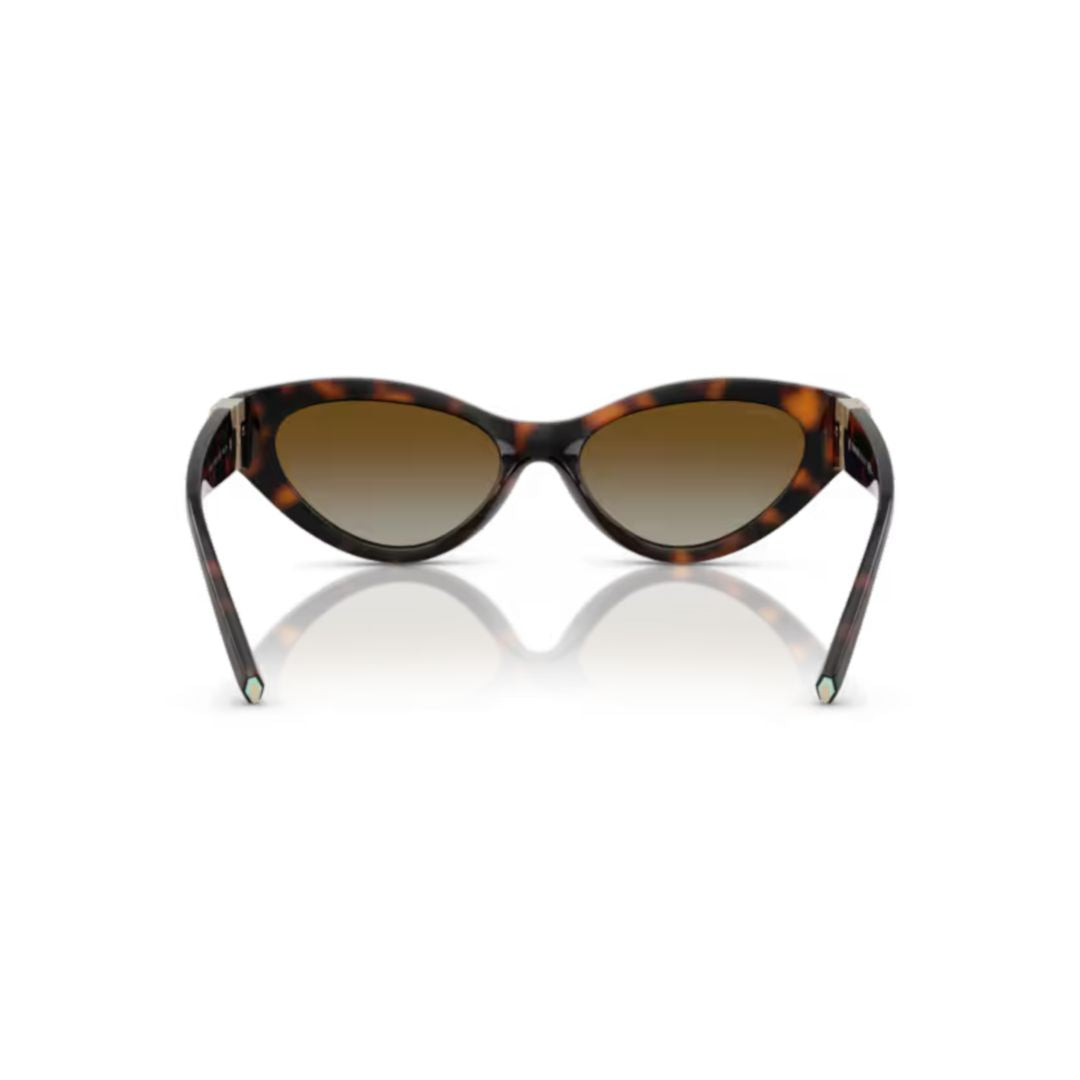 0tf4225u Cat-Eye Frame Sunglasses