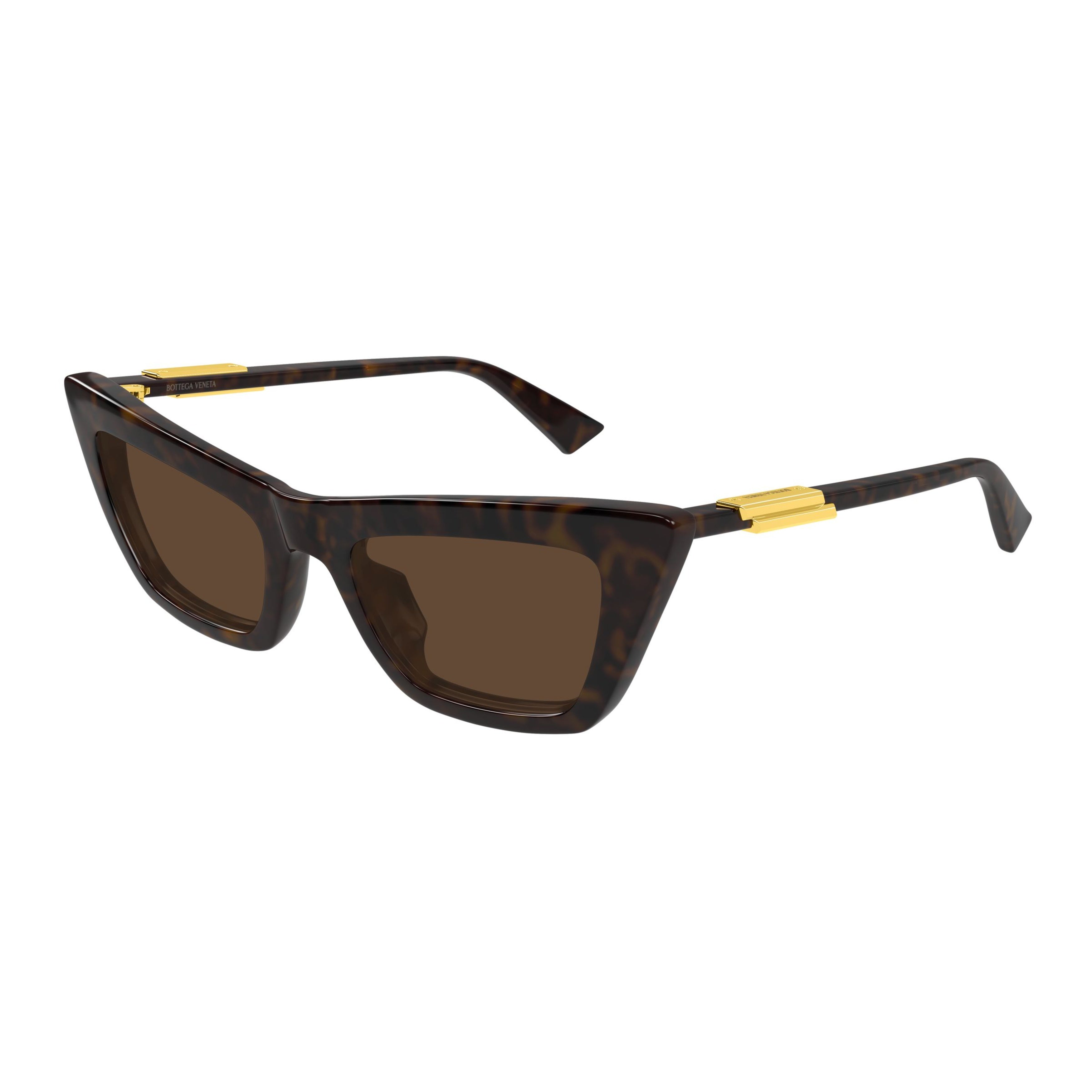 Bv1446s Angular Cat-Eye Sunglasses