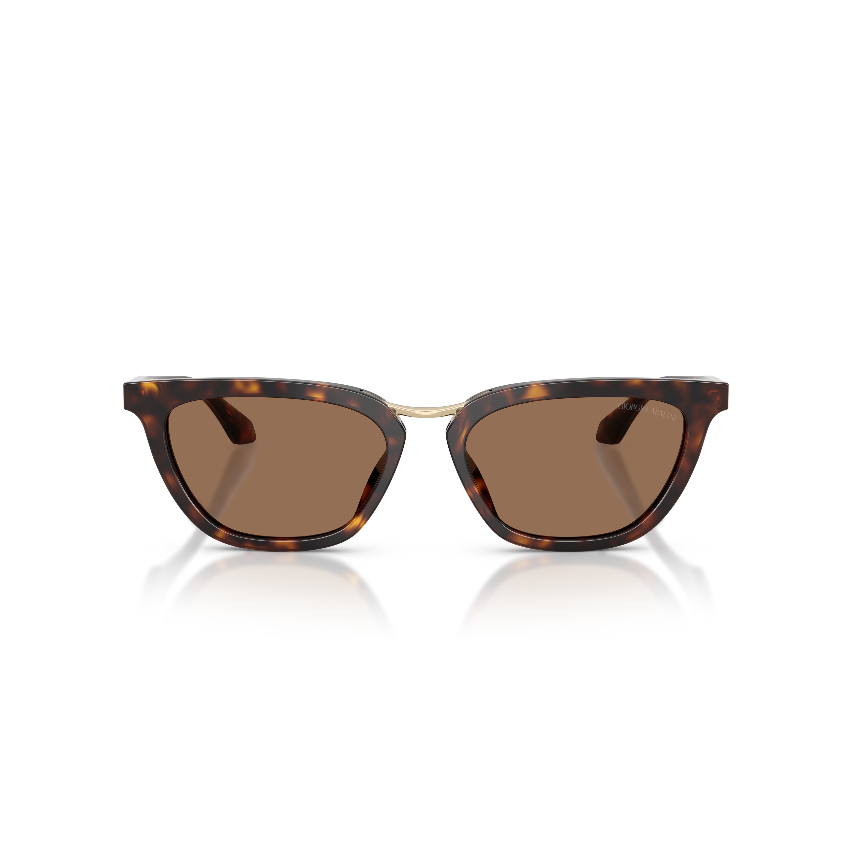 0ar8253u Tortoiseshell Cat-Eye Sunglasses with Gold Bridge