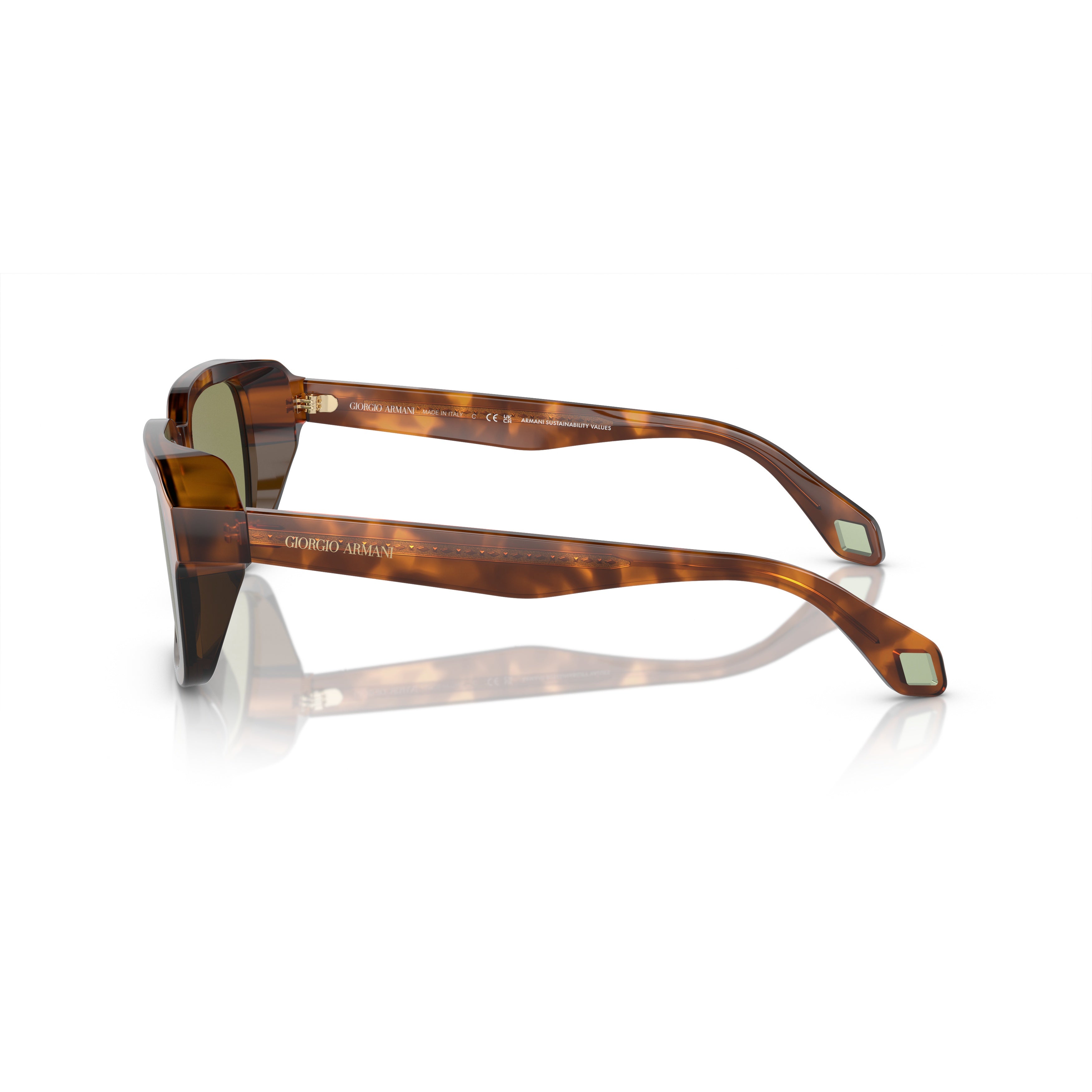 0ar8194u Bold Square Tortoiseshell Sunglasses with Green Lenses