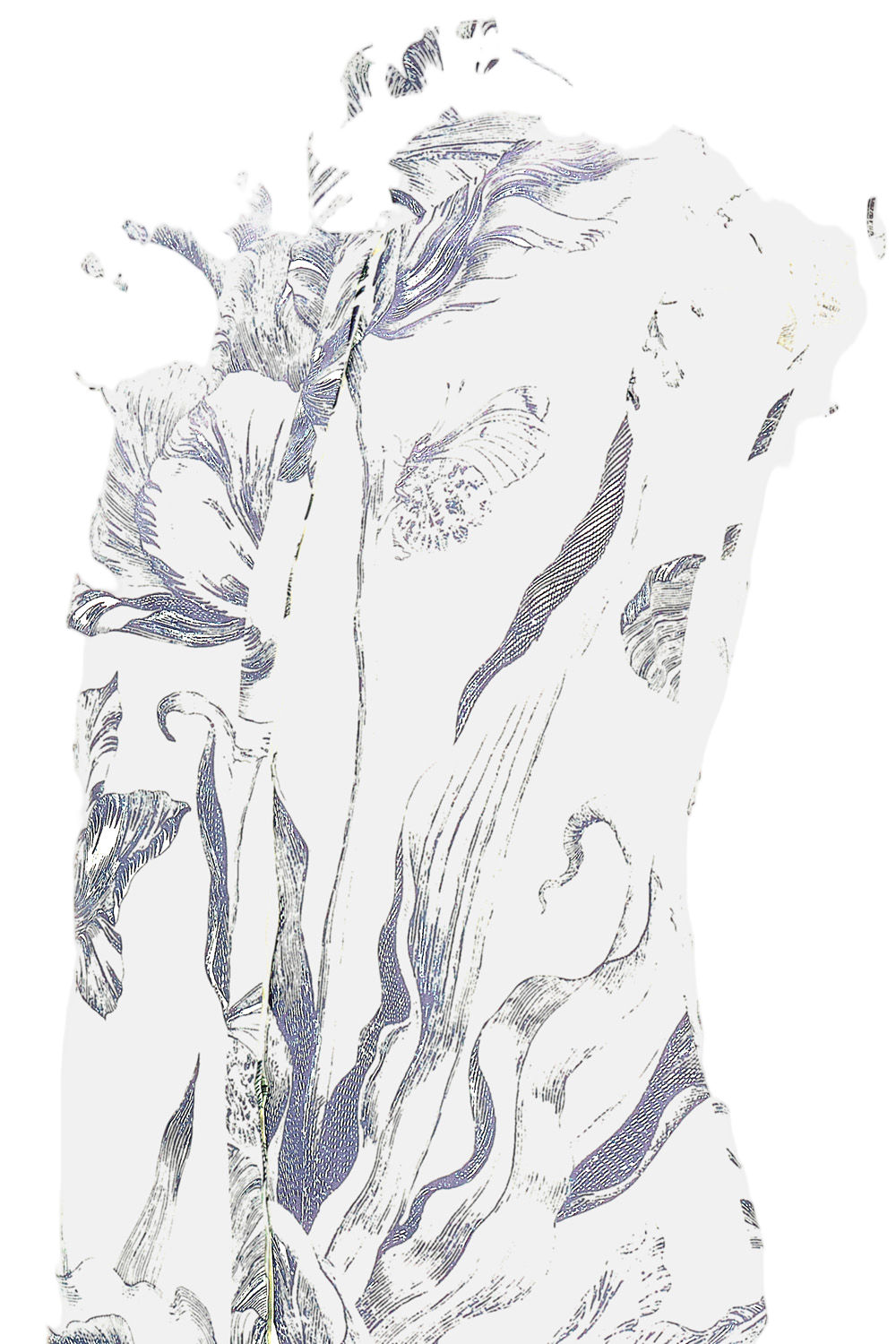 Light Cotton Poplin Floral Print Top