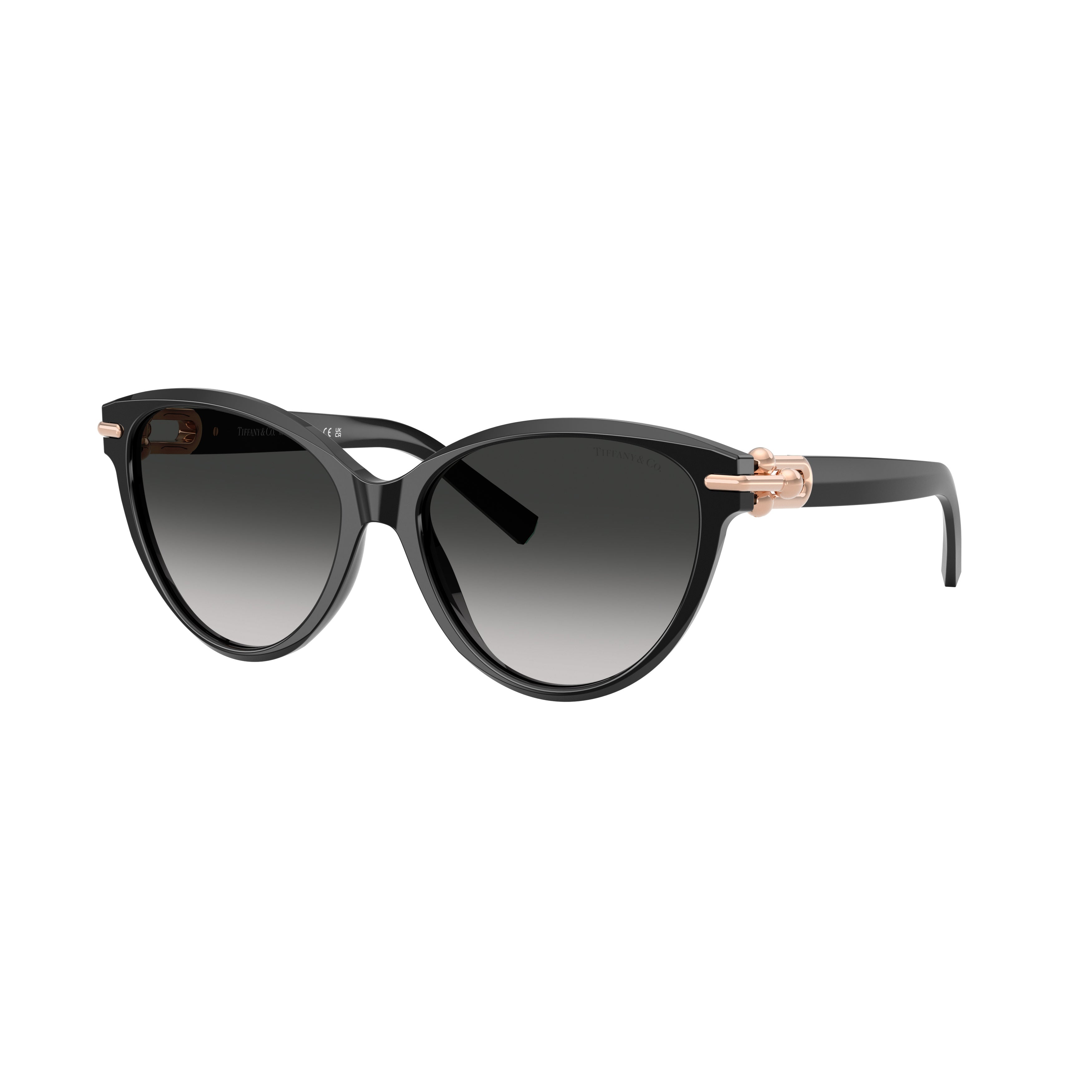 0tf4261 Cat-Eye Sunglasses