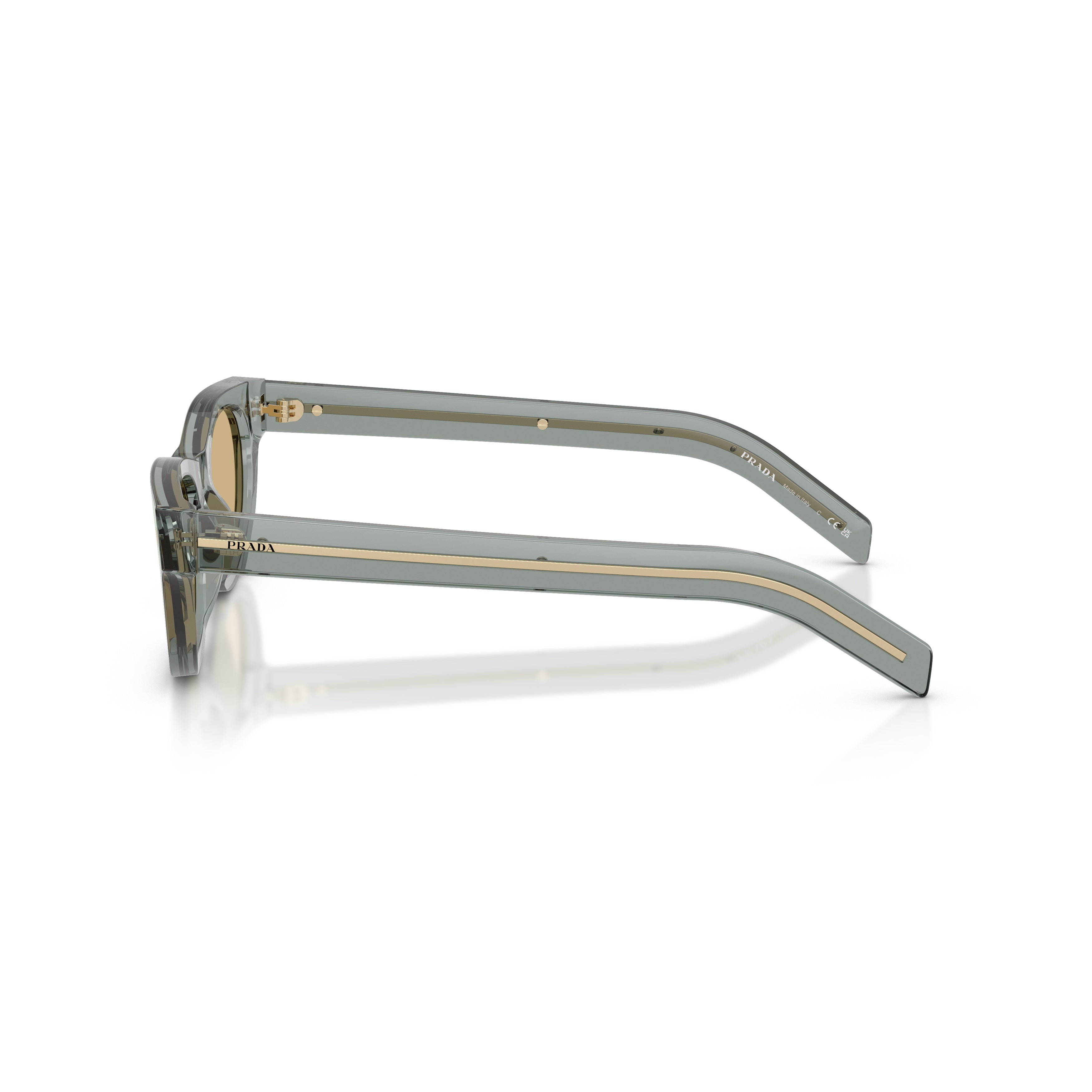 0pr C09s Translucent Acetate Rectangular Sunglasses