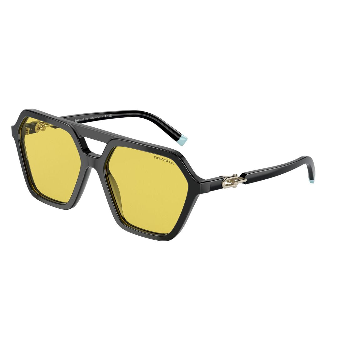 0tf4198 Geometric Frame Sunglasses