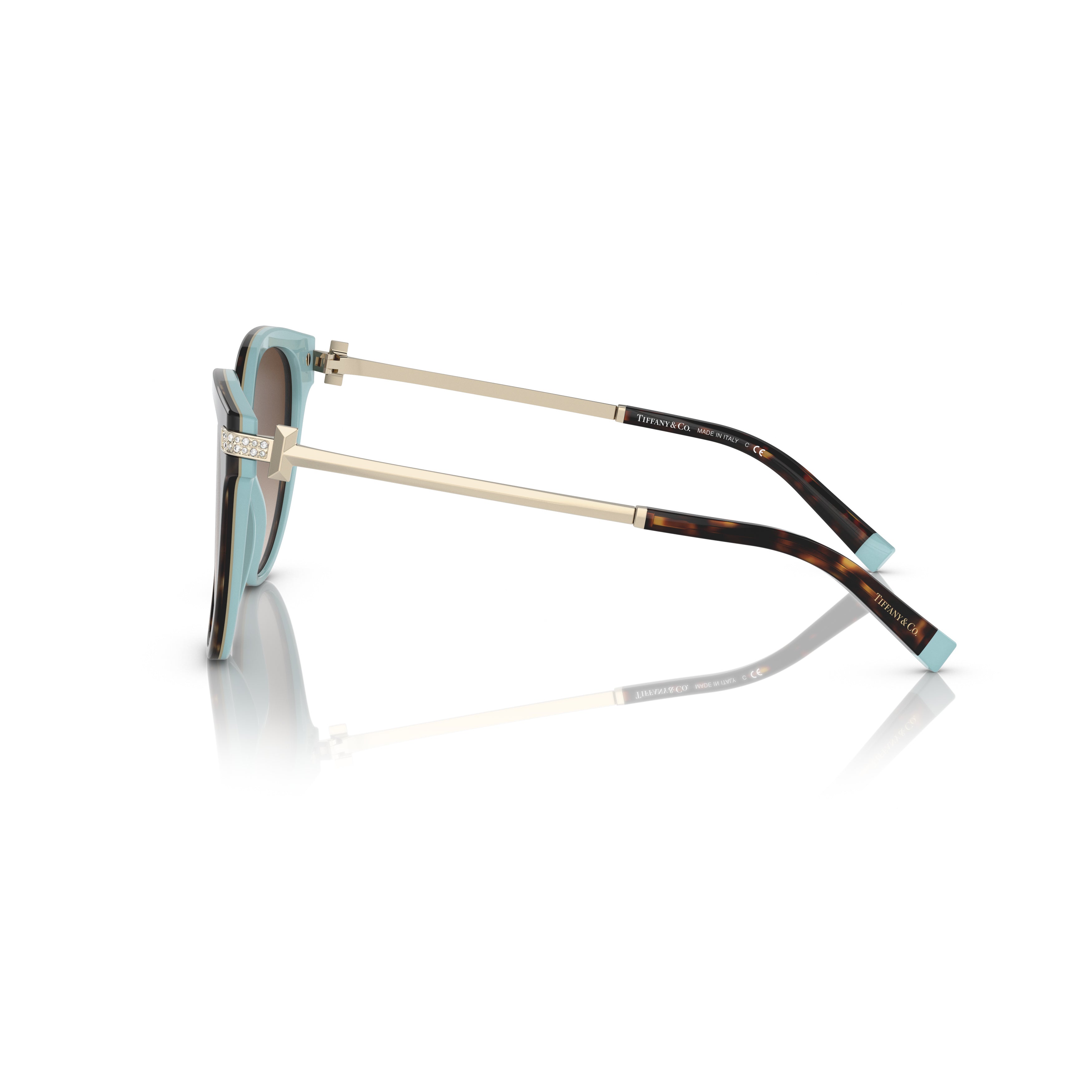 0tf4193b Rounded Tortoiseshell Sunglasses