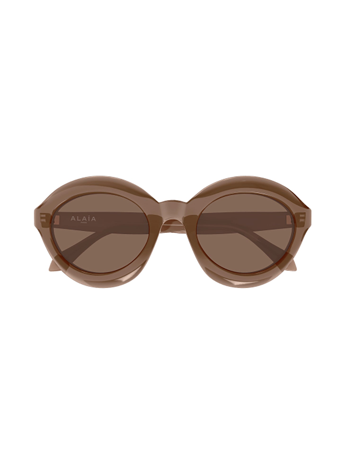 Oval-Shaped Sunglasses with Glossy Frame