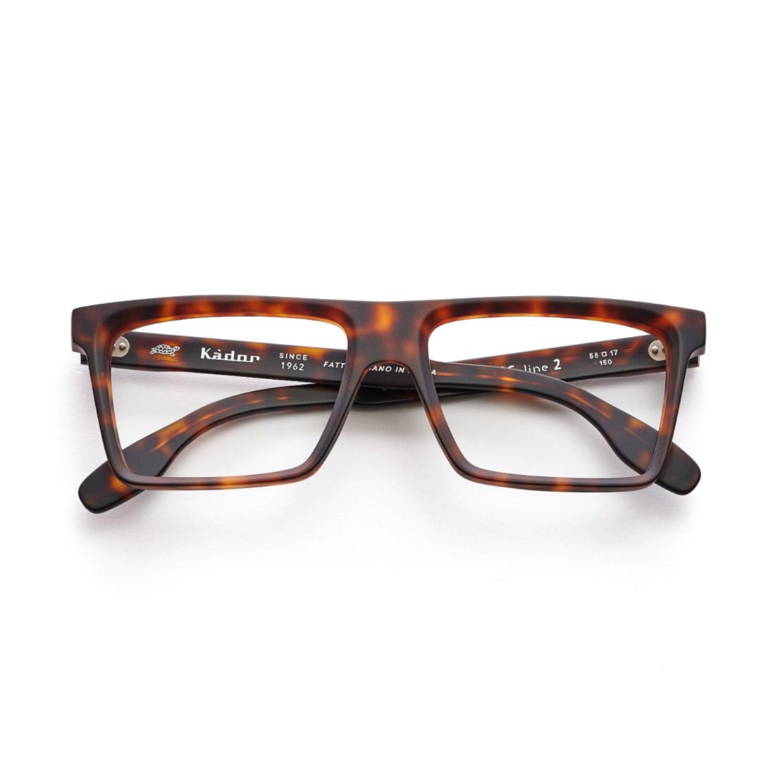 Big 2 Oversized Rectangular Tortoiseshell Sunglasses